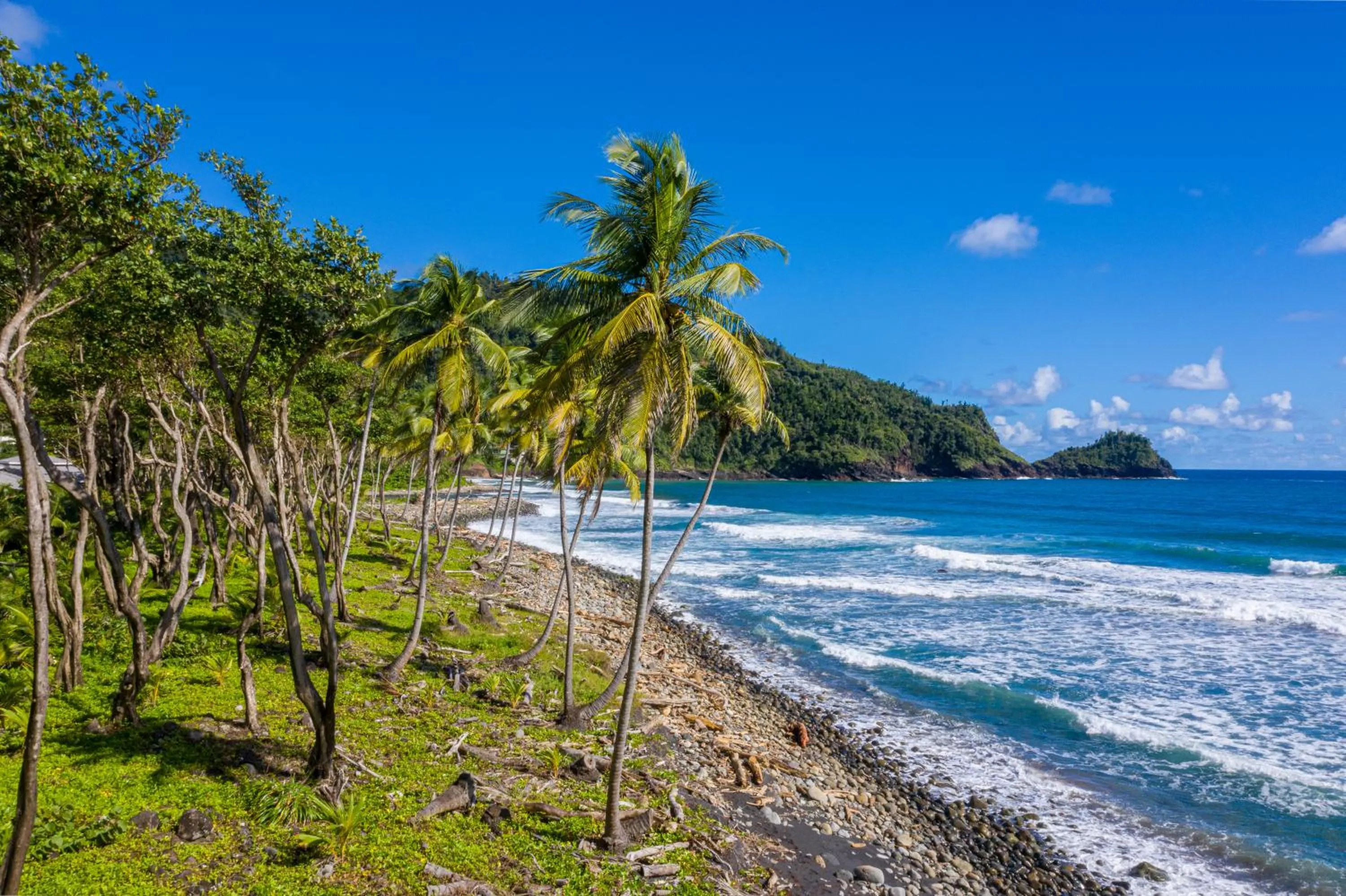 Natural landscape in Rosalie Bay Eco Resort & Spa