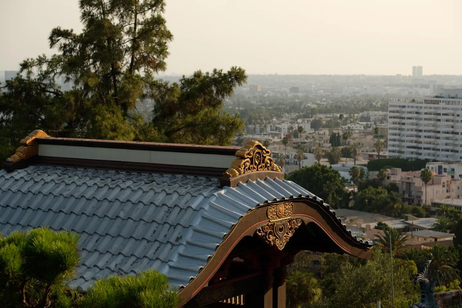 City view in Hollywood Hills Hotel