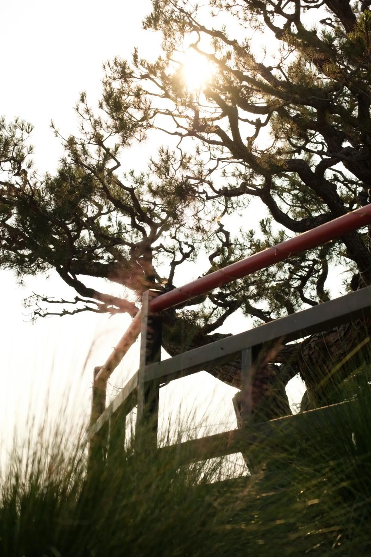 Garden in Hollywood Hills Hotel
