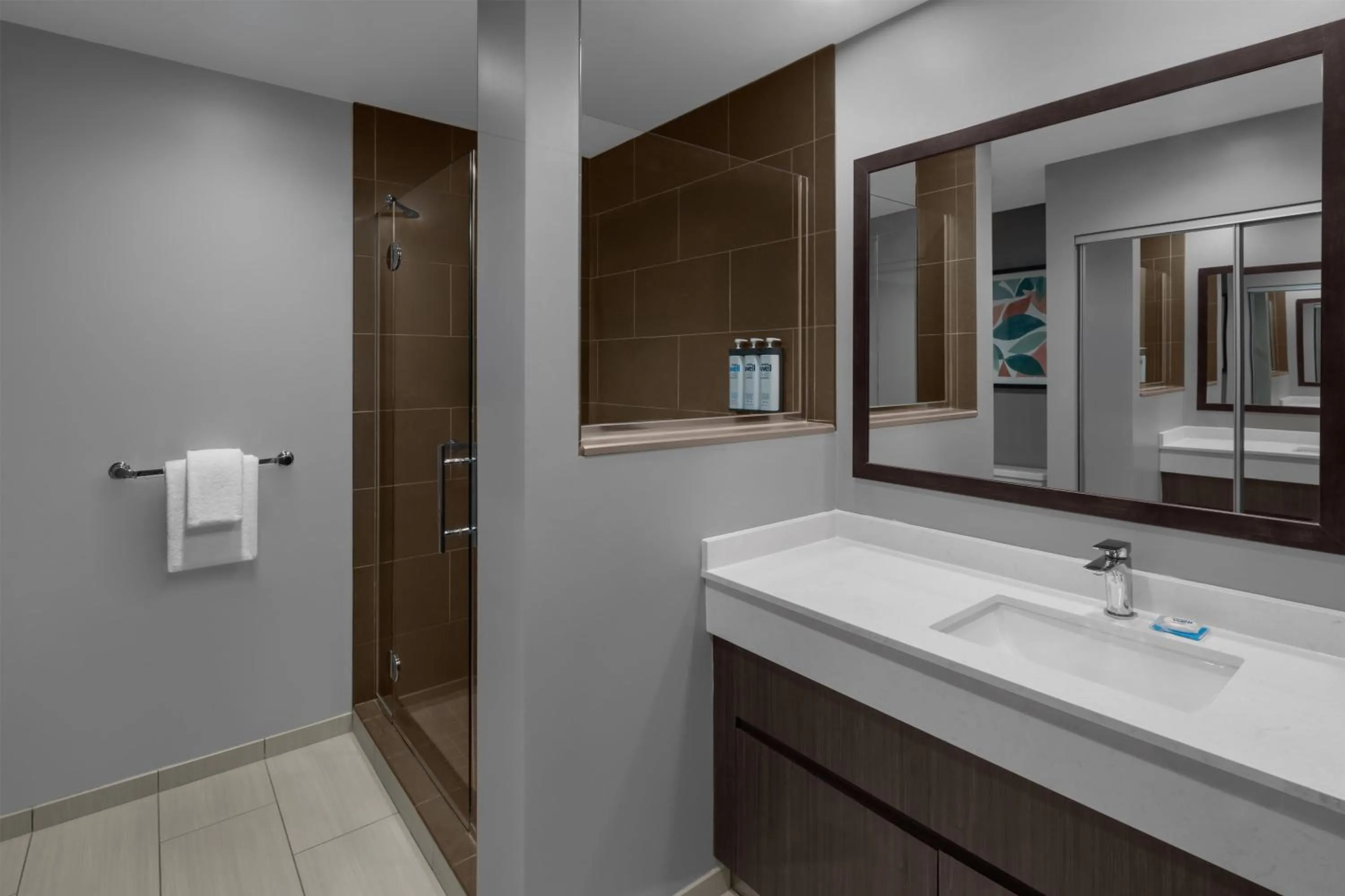 Bathroom in Hyatt House Pittsburgh-South Side