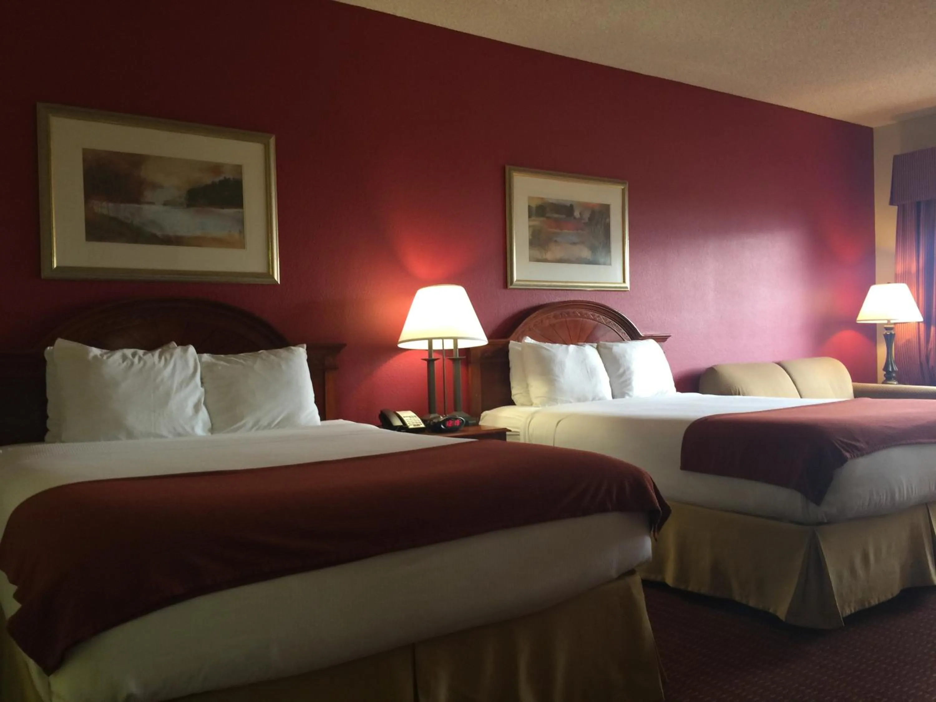 Pets, Bed in Baymont Inn & Suites by Wyndham Holbrook