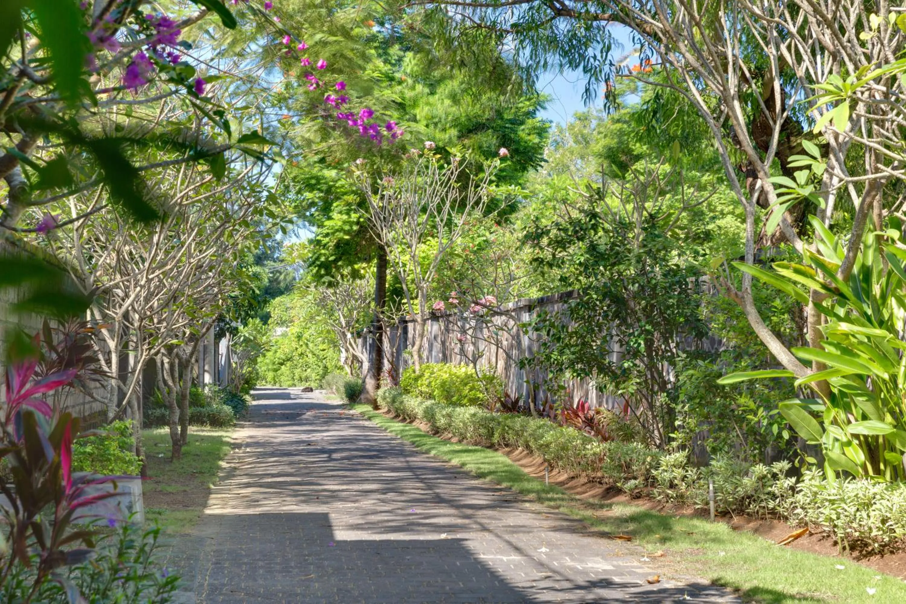 Natural landscape in D&G Villas Nusa Dua