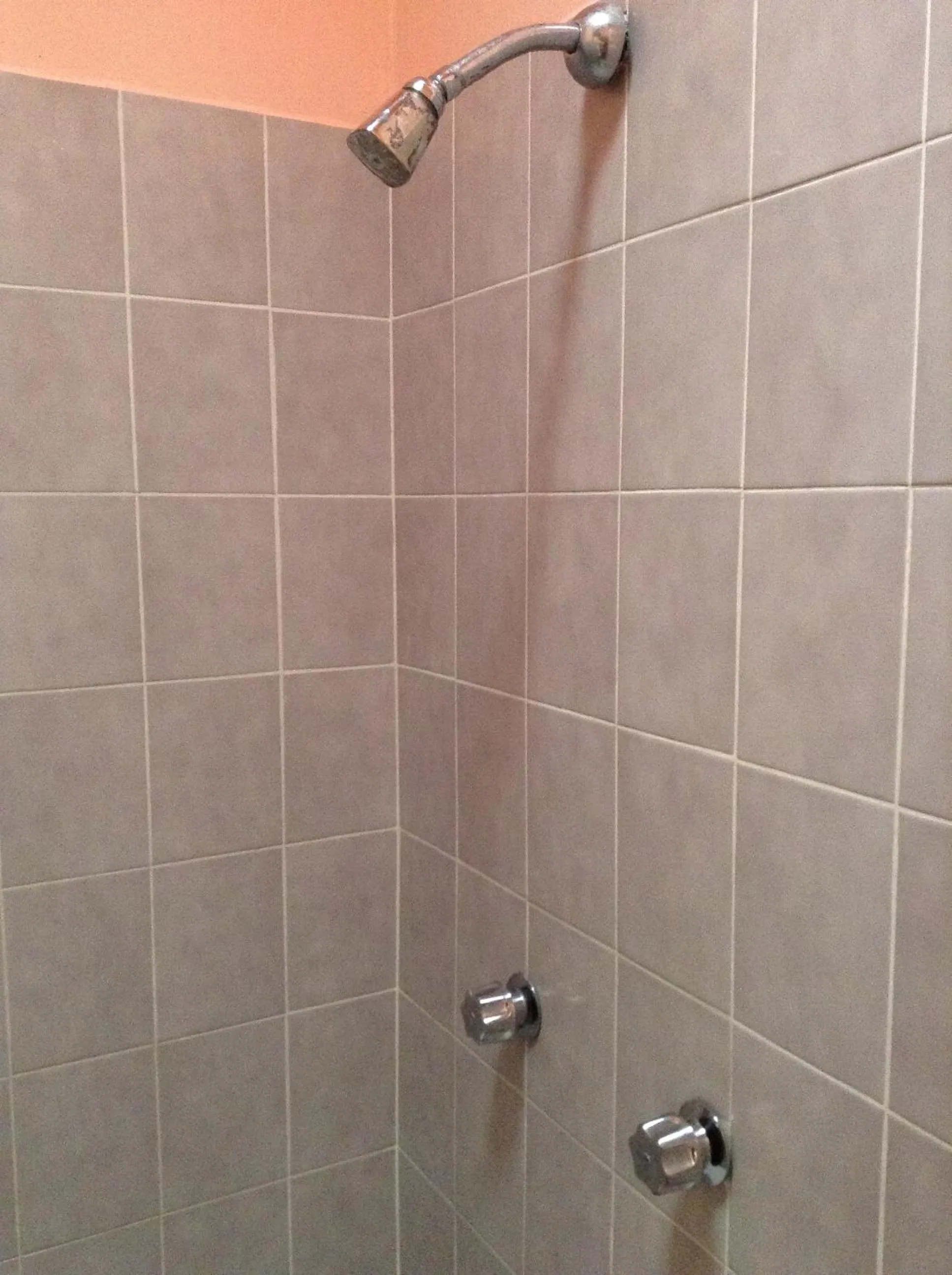 Decorative detail in Hotel Tecozautla