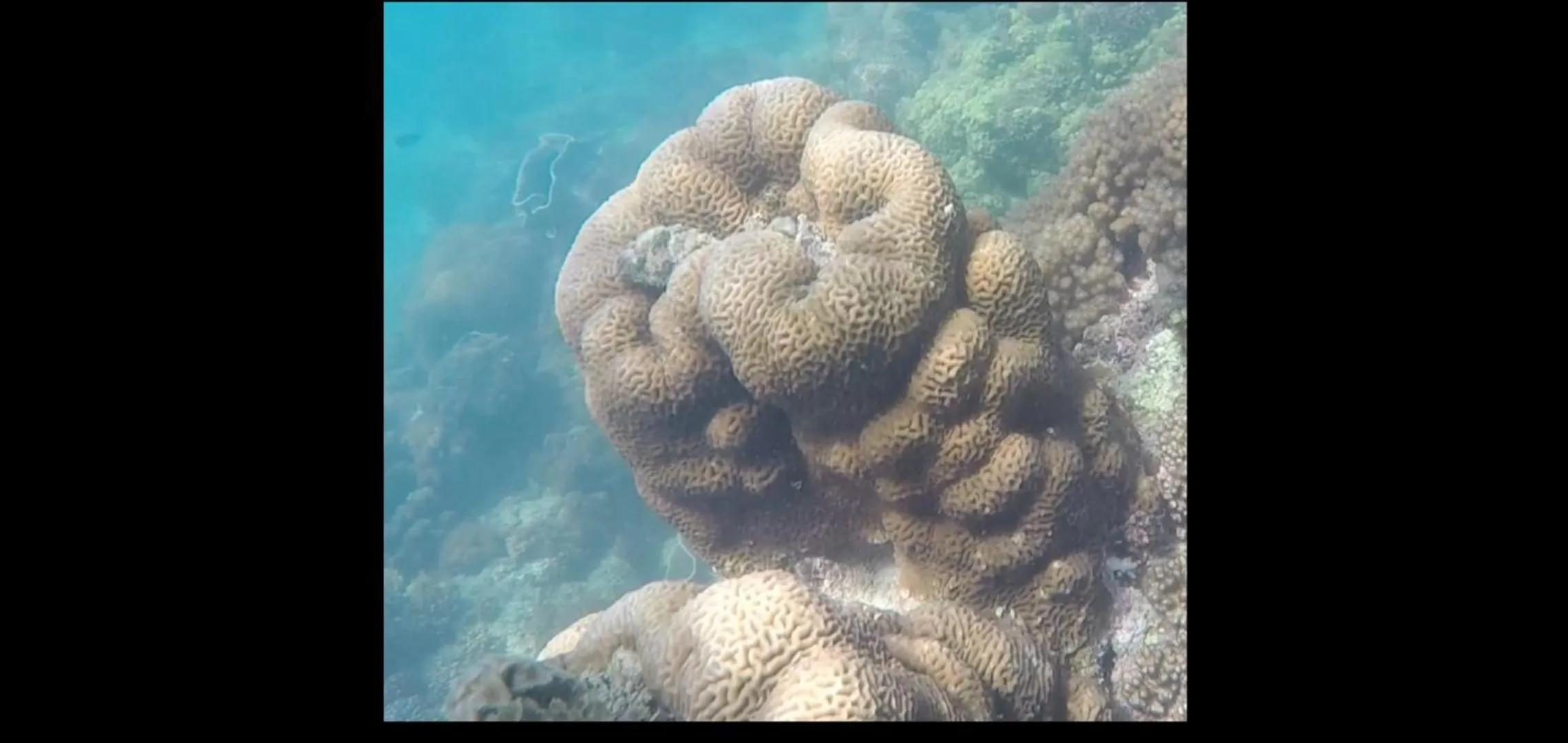Beach in Penthouse Crystal Bay Apartments