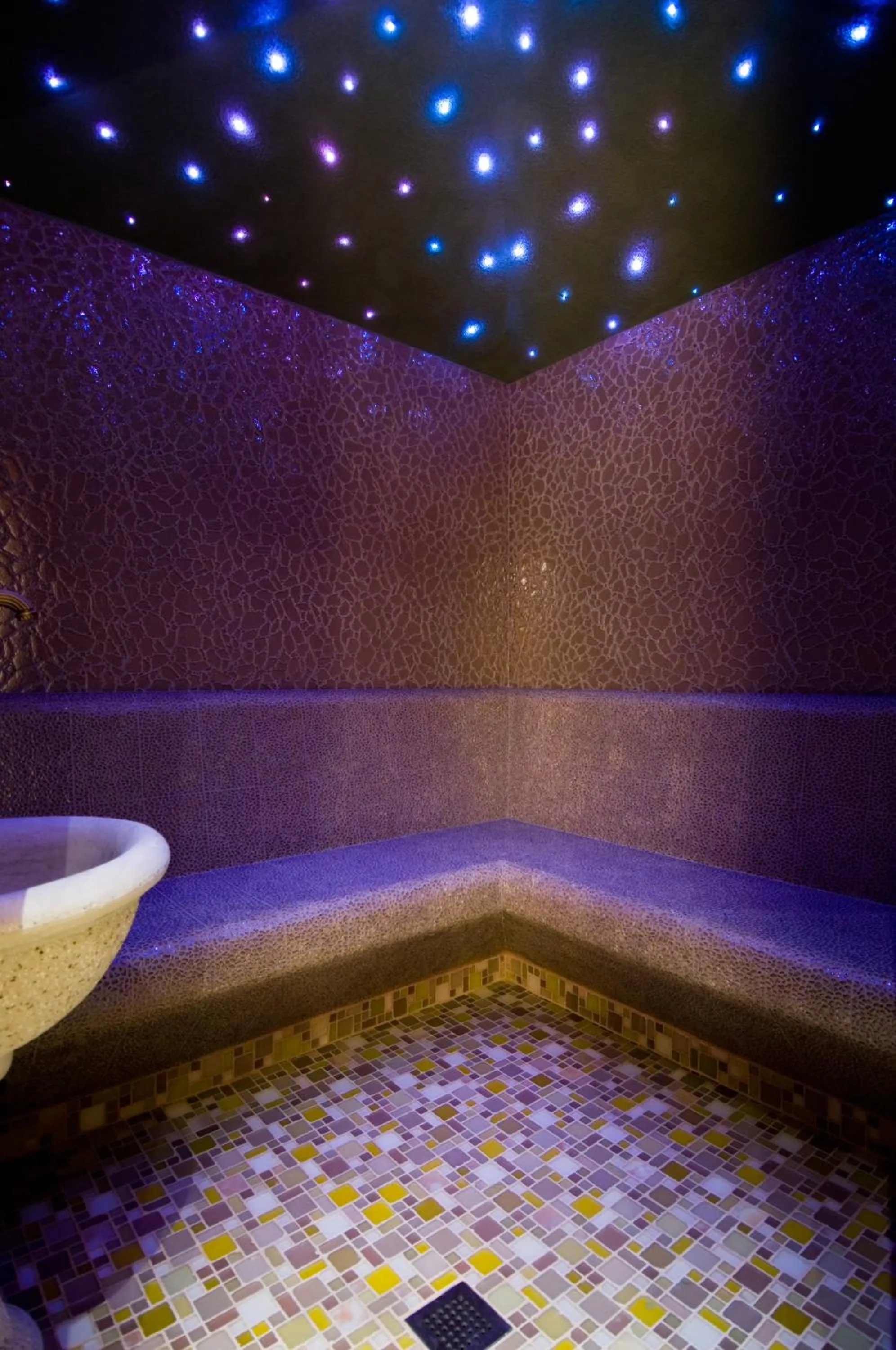 Steam room in Villa Anina