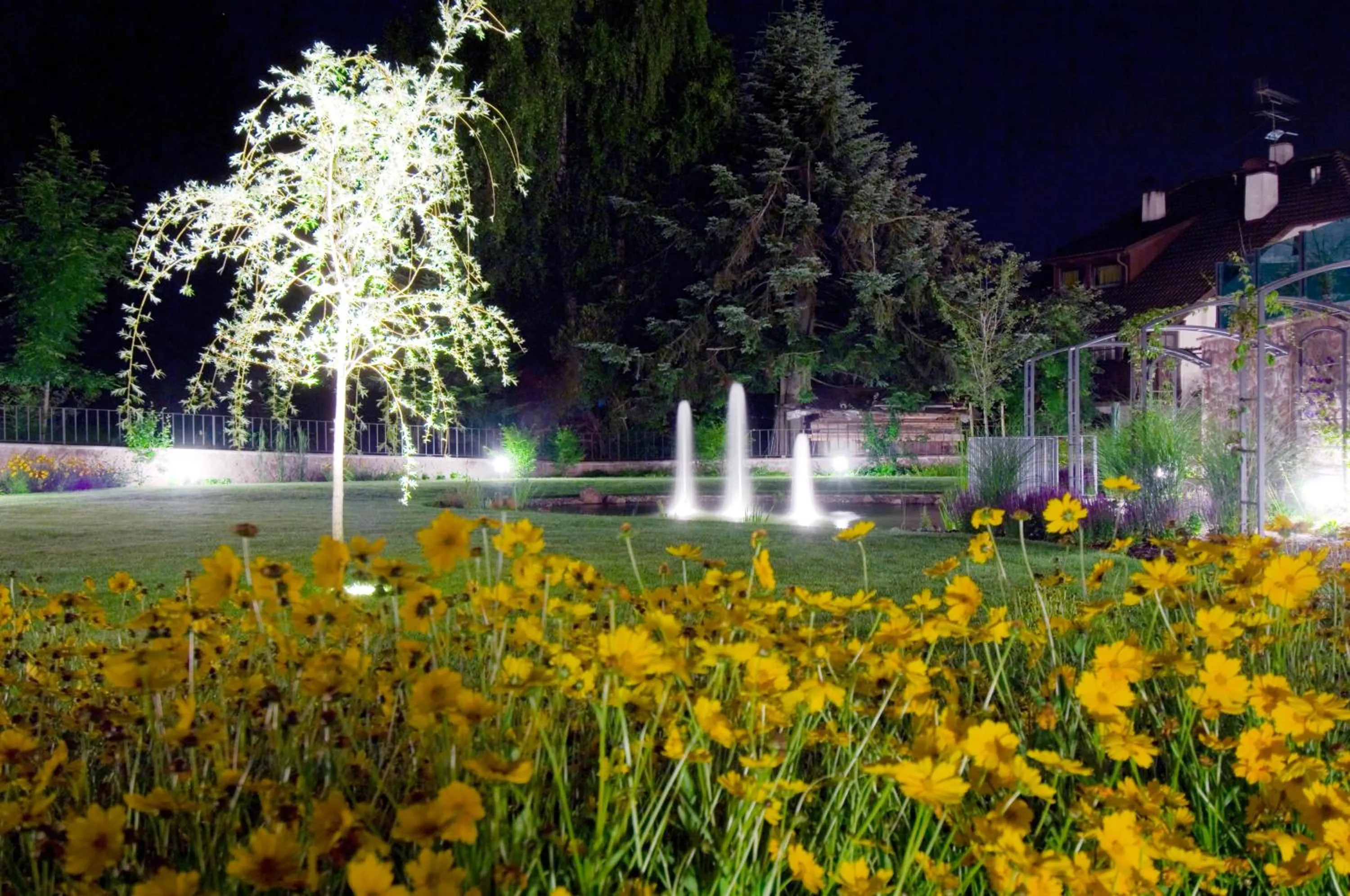 Night in Villa Anina