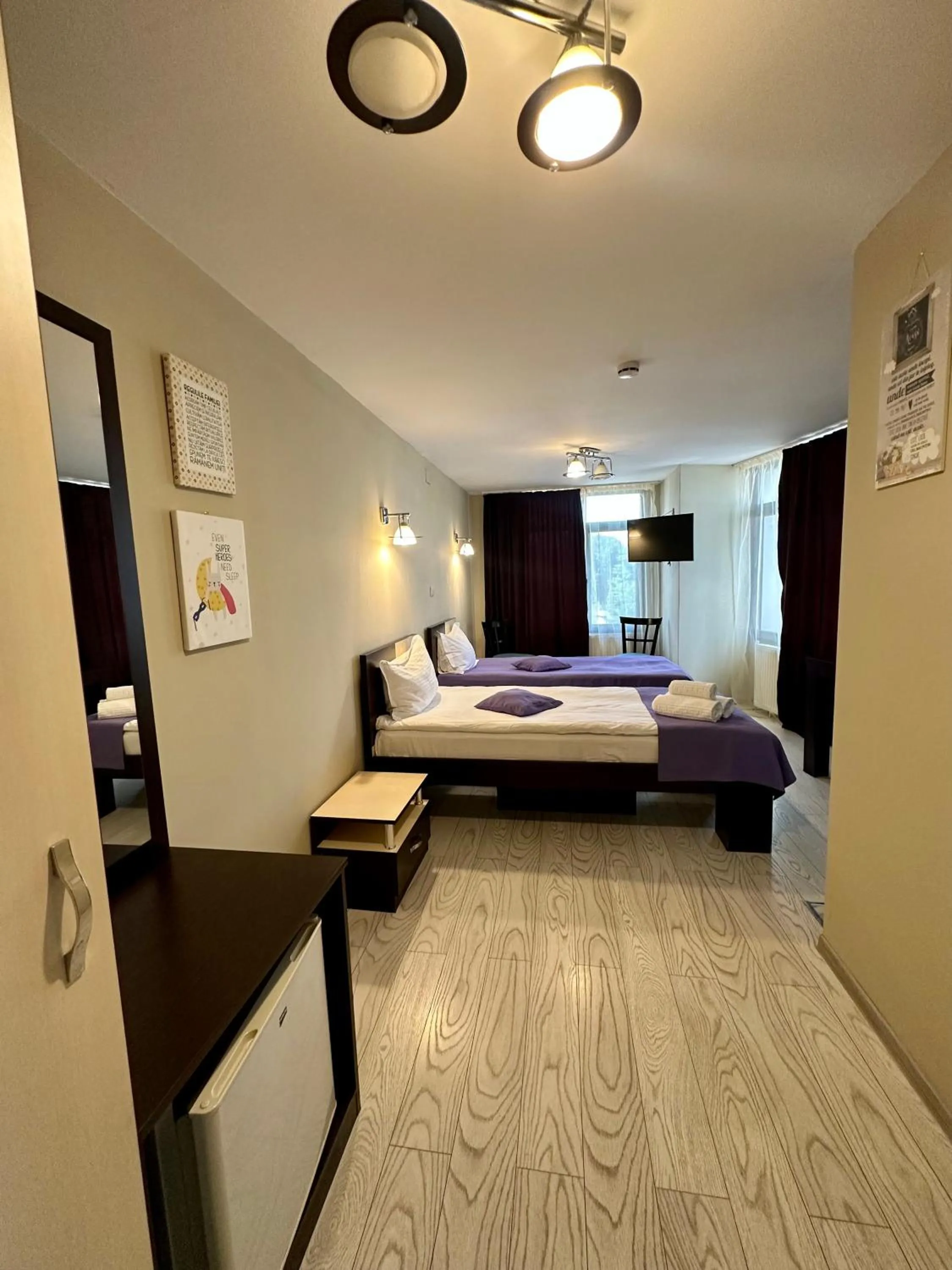 Twin Room - single occupancy in Lion's Hotel