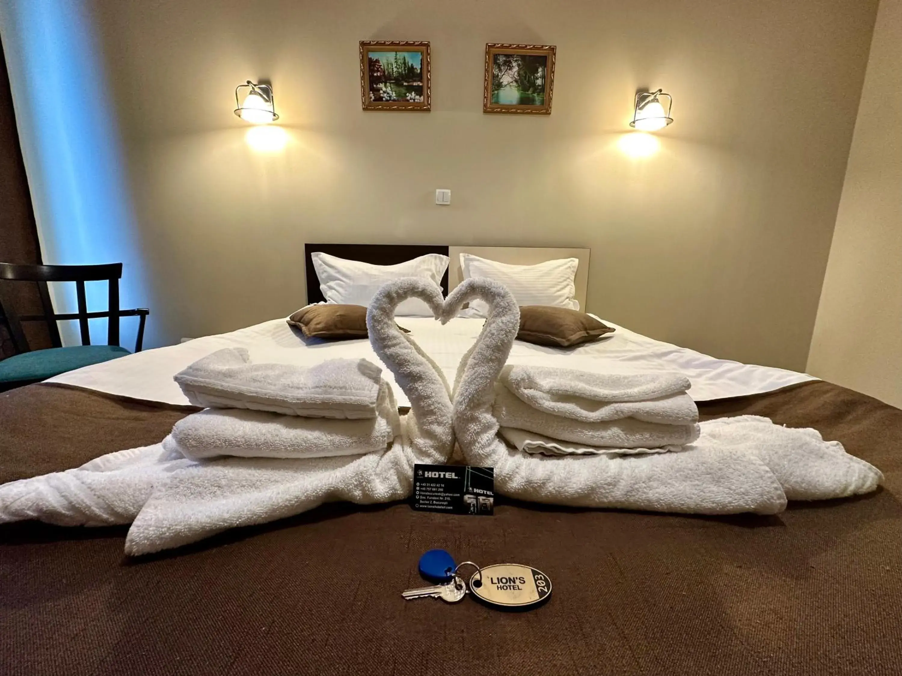 Double Room - single occupancy in Lion's Hotel Double Room - single occupancy in Lion's Hotel