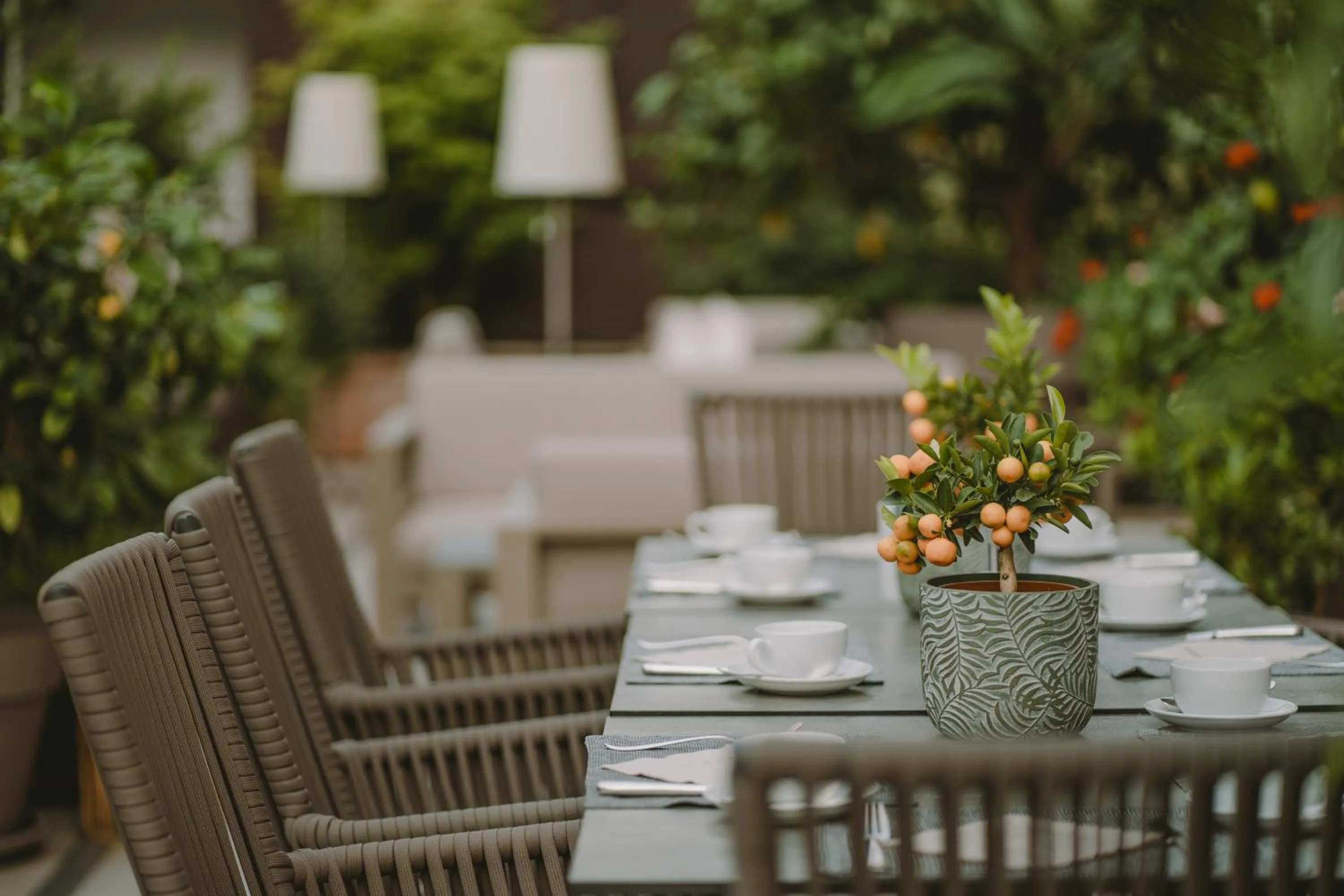 Restaurant/places to eat in Hotel Lisetta