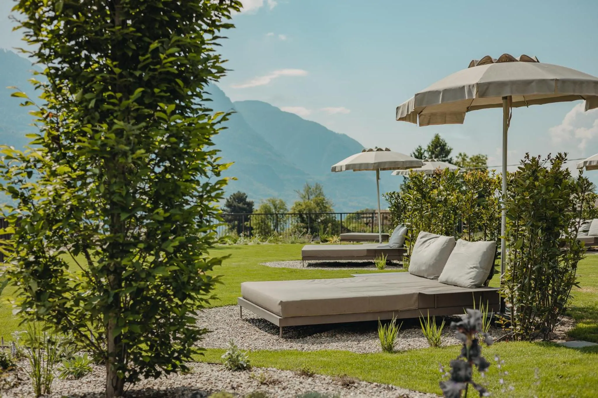 Natural landscape in Hotel Lisetta