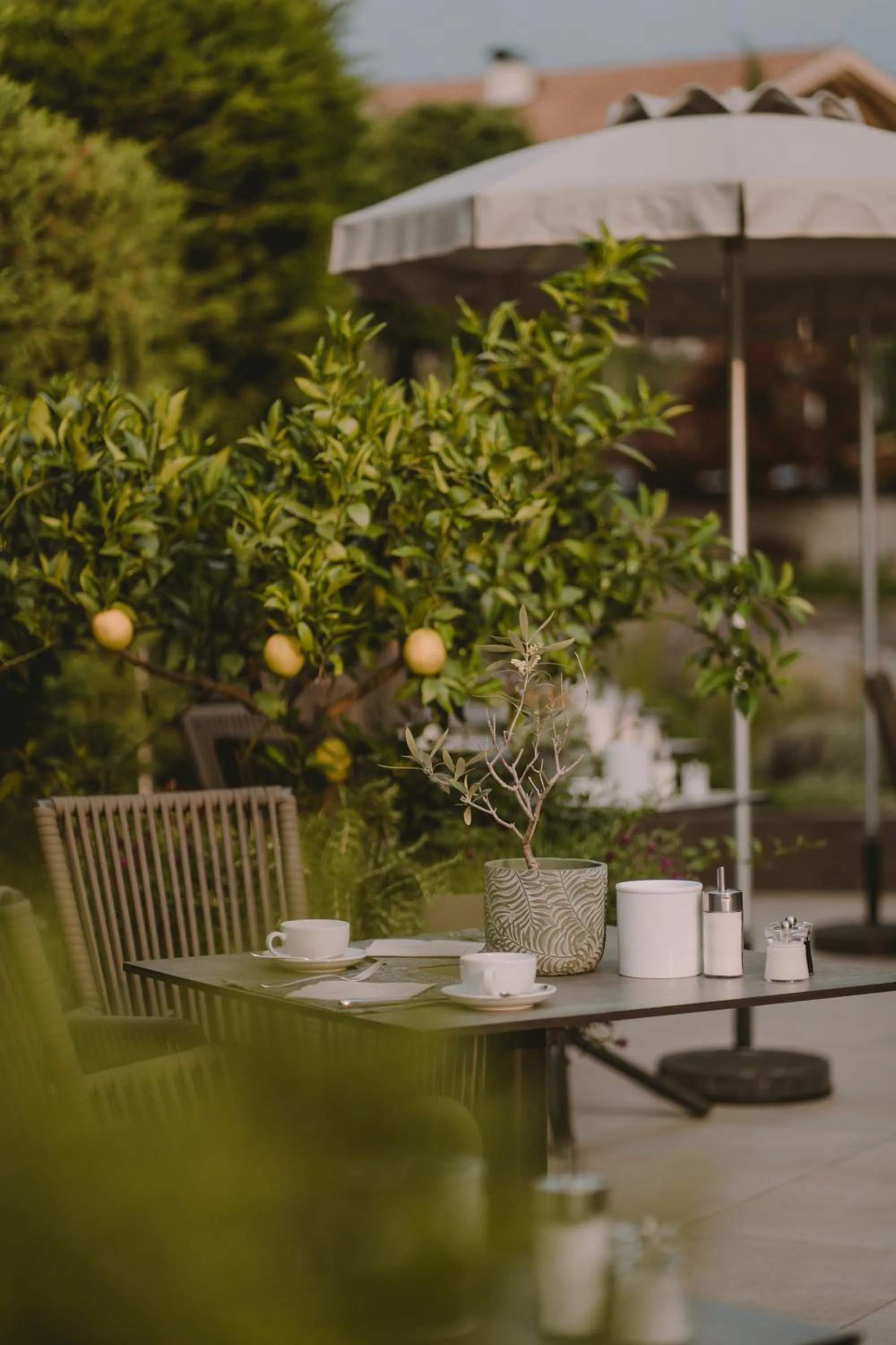 Restaurant/places to eat in Hotel Lisetta