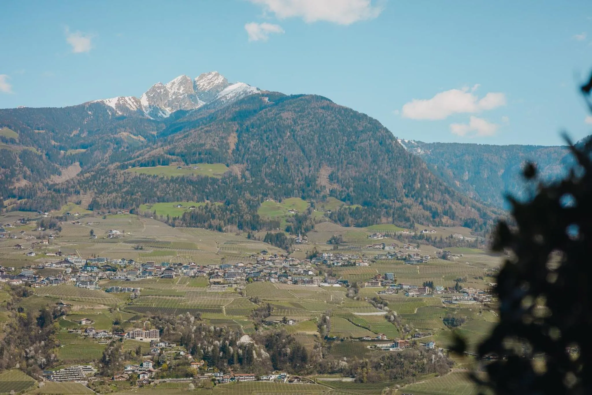 Natural landscape in Hotel Lisetta