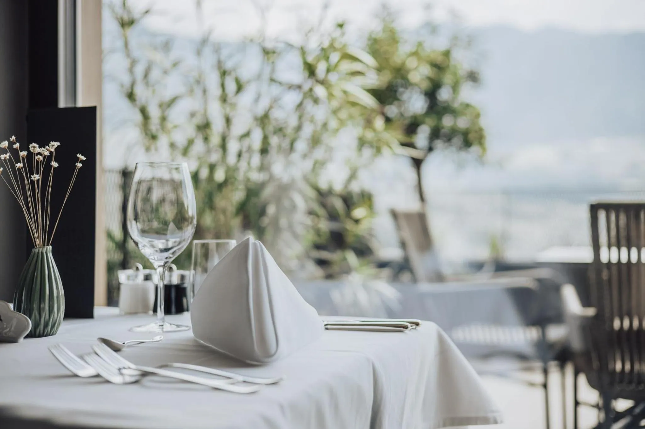 Natural landscape in Hotel Lisetta
