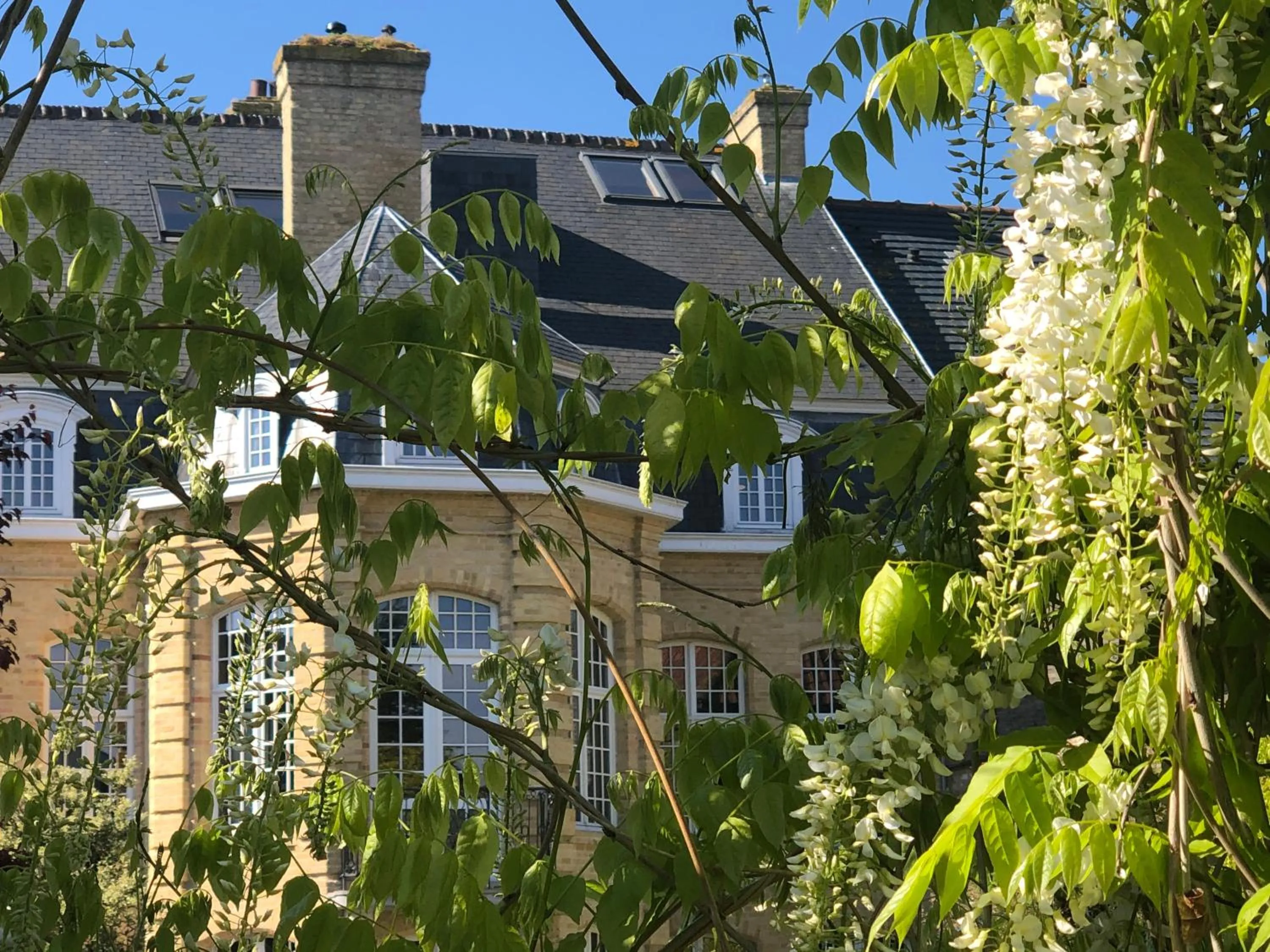 Spring in B&B 't Withuis