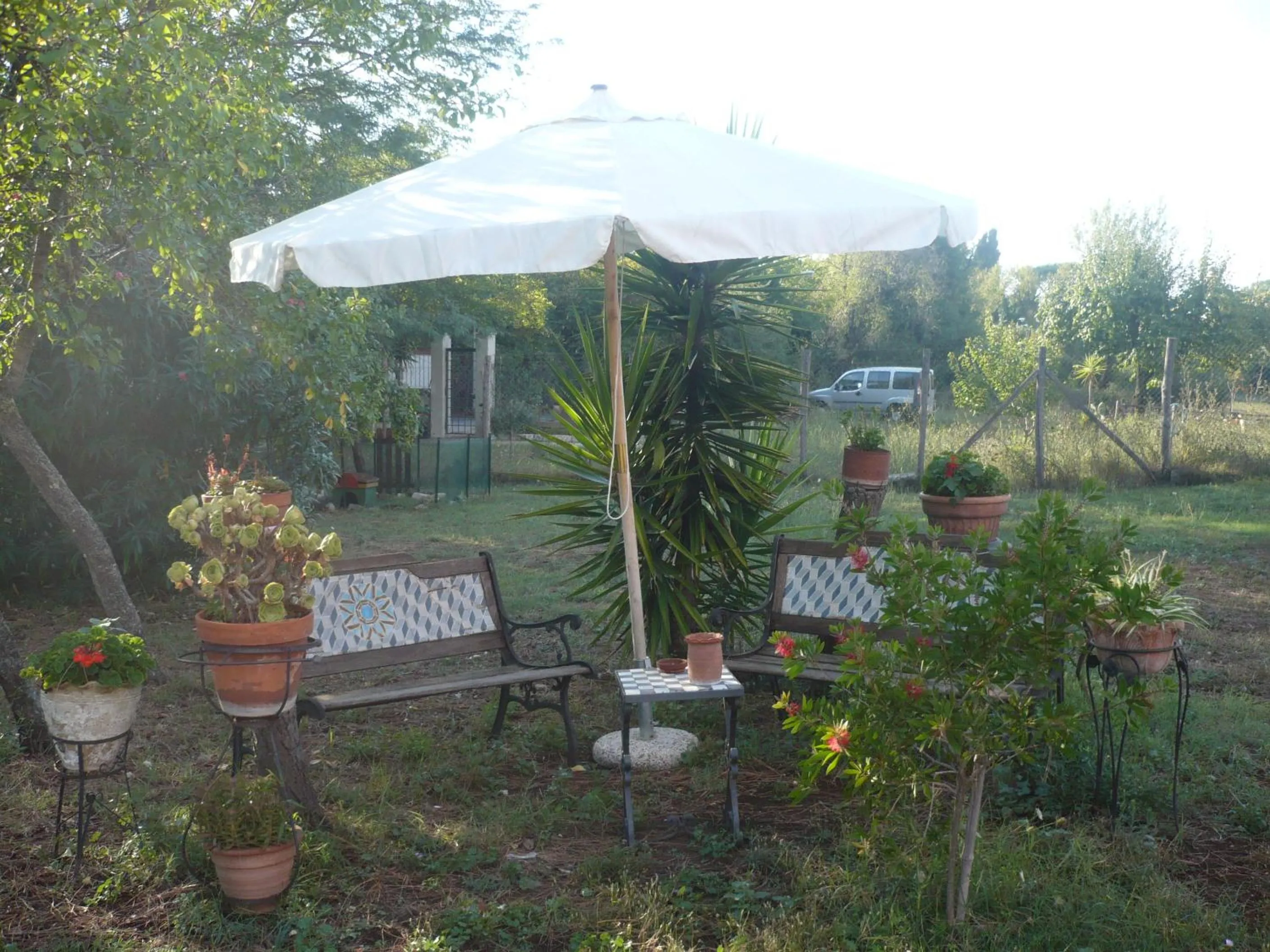 Garden in Il Baffetto B&B