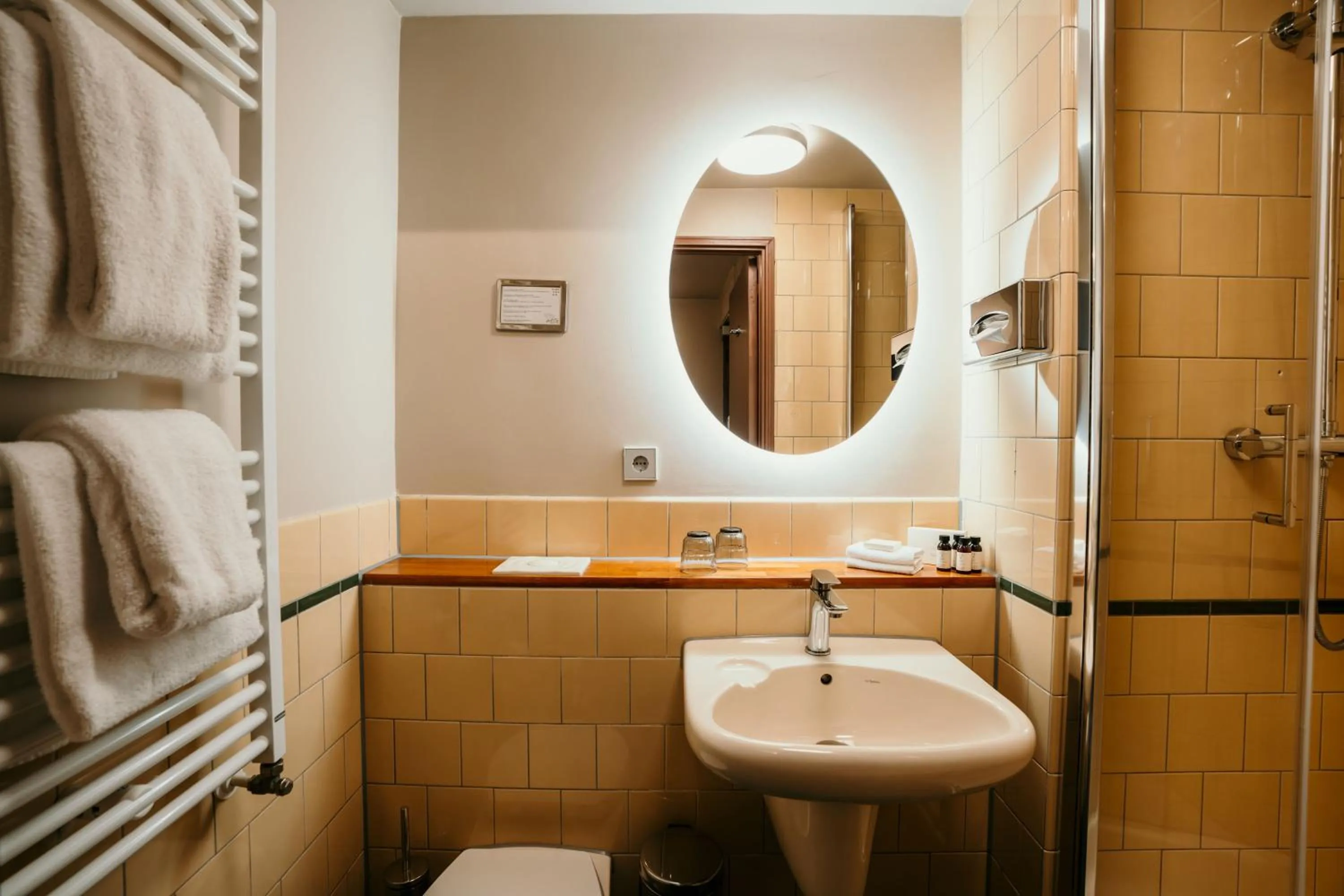 Shower in Hotel Omega