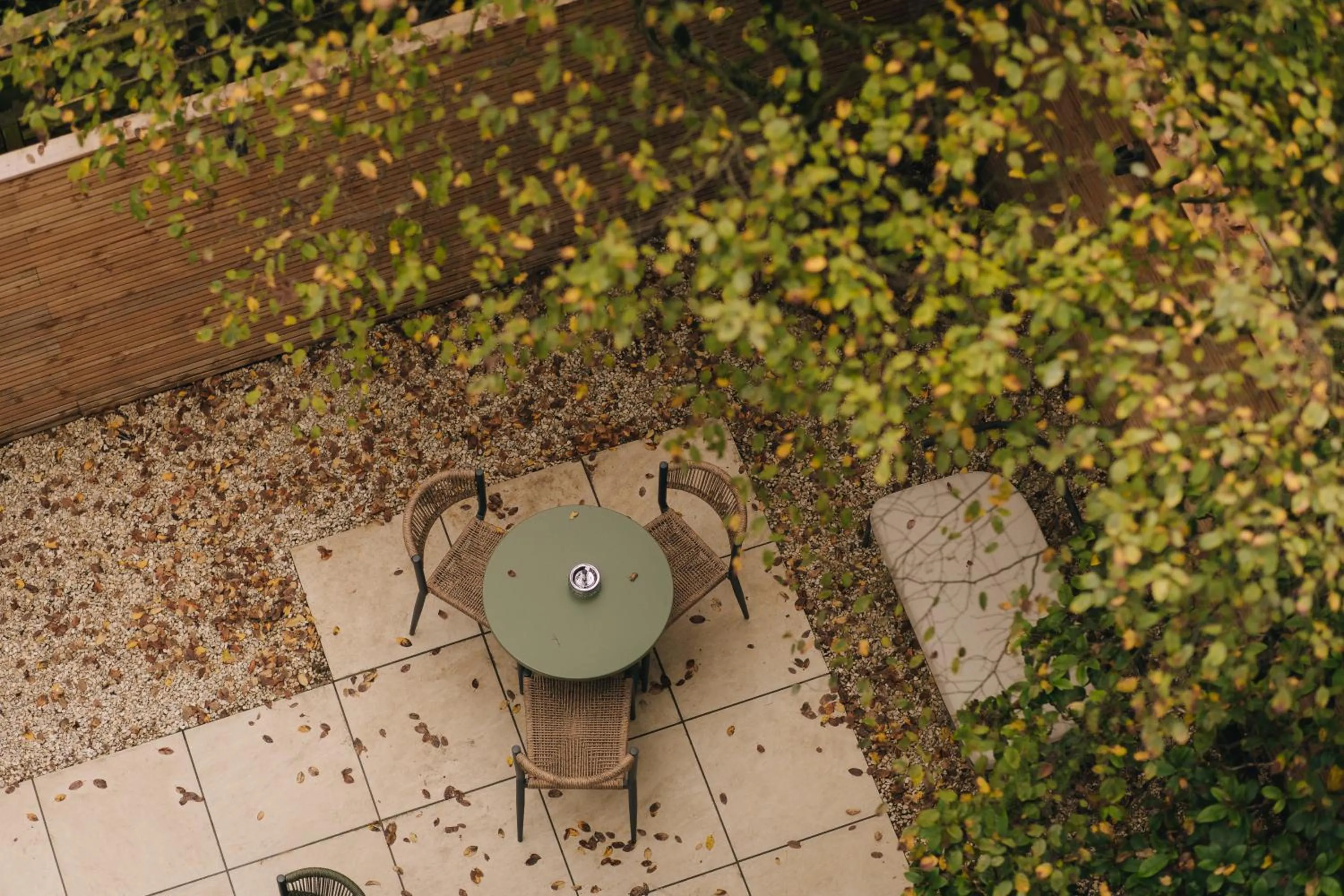 Garden in Hotel Omega