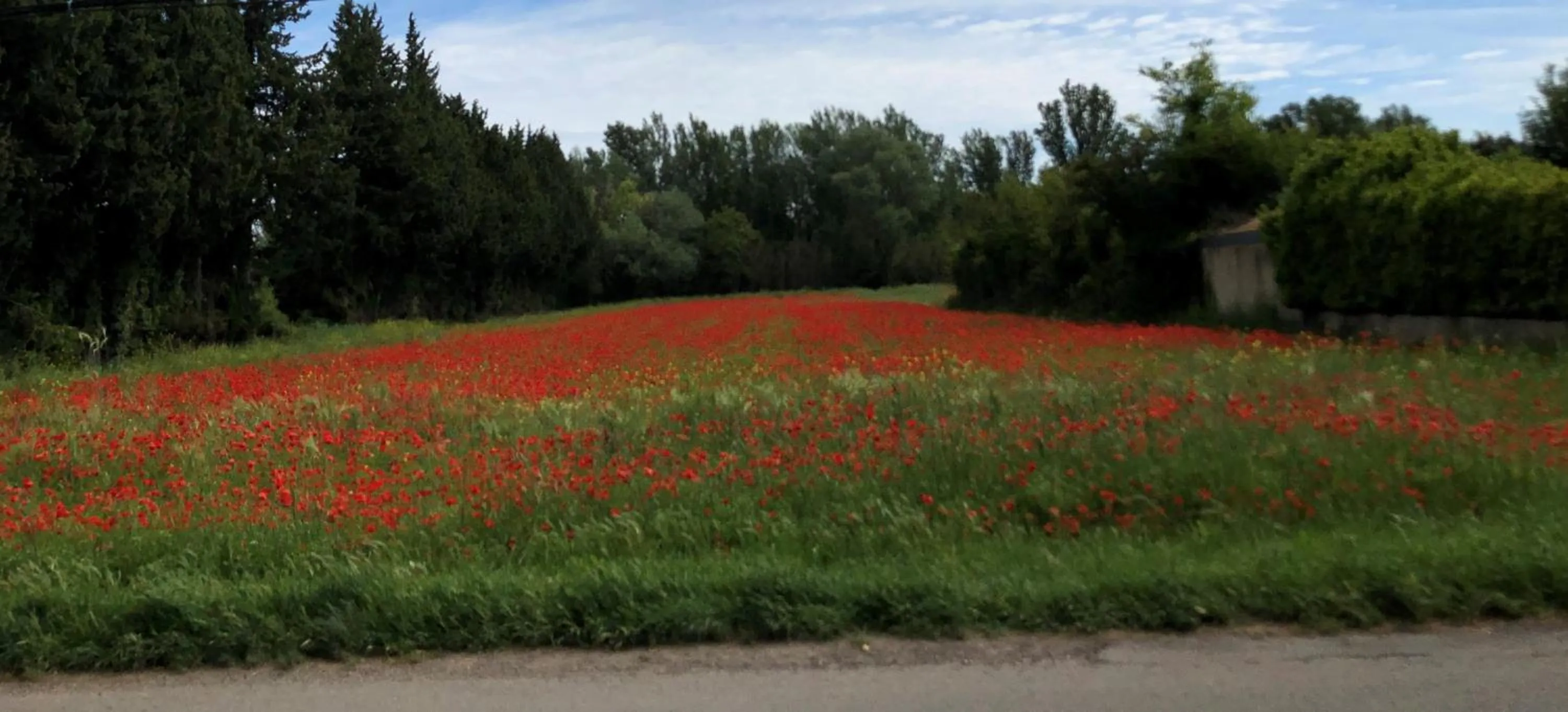 Natural landscape in LE MAS DES FLANERAIES