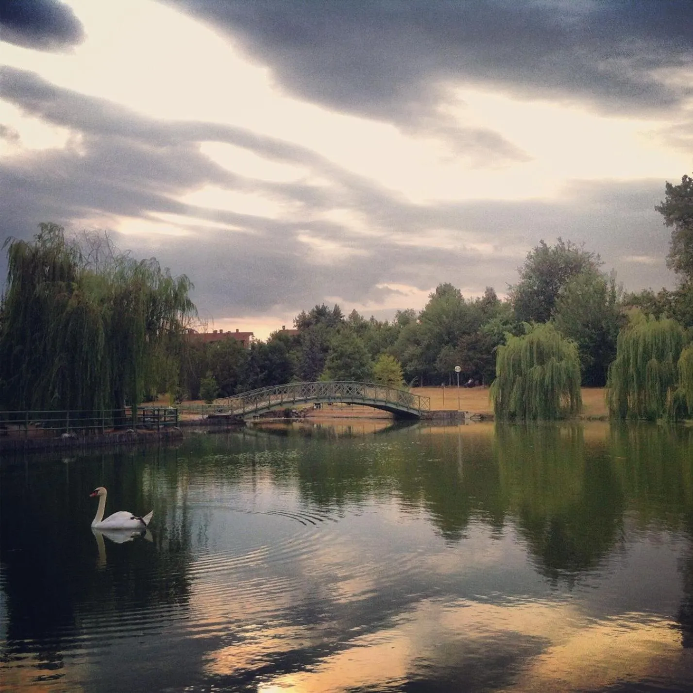 Nearby landmark in Hotel La Vela