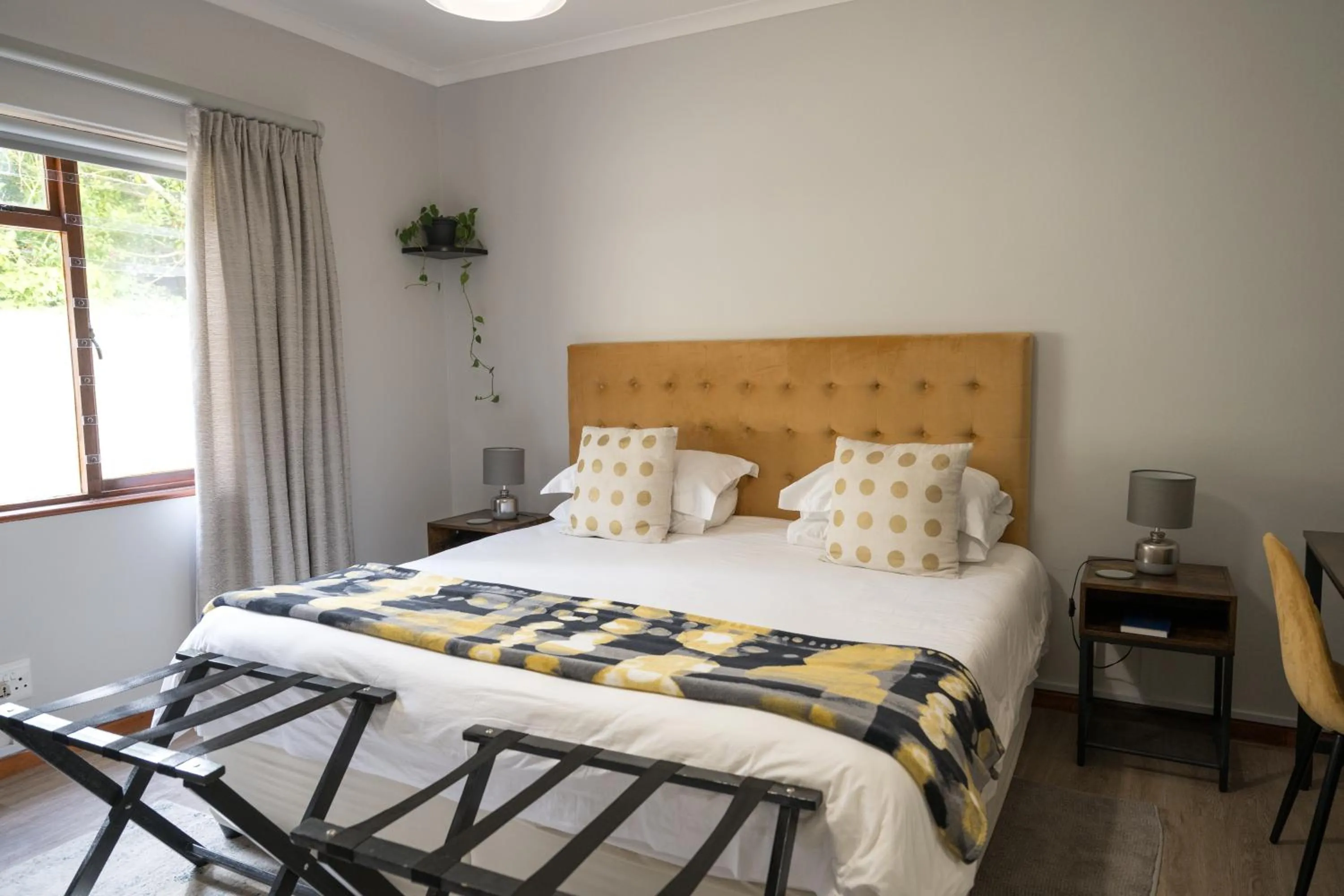 Penguino Guesthouse