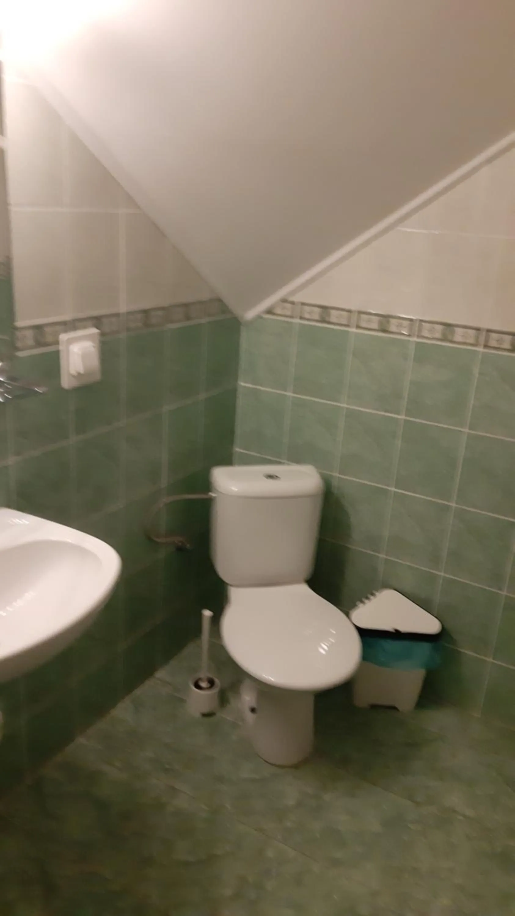 Toilet in Penzión pri studničke Omastiná