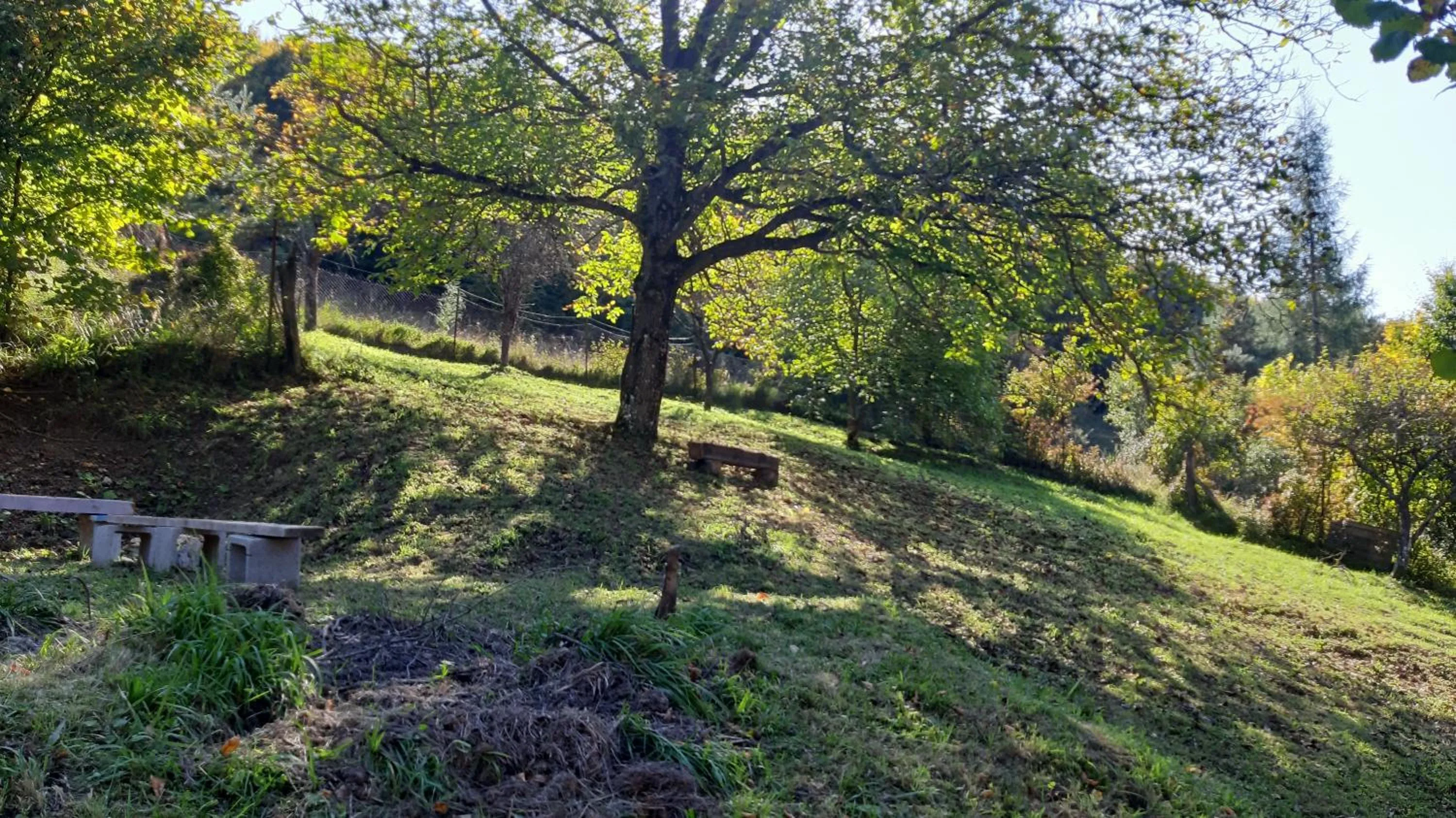 Garden in Penzión pri studničke Omastiná