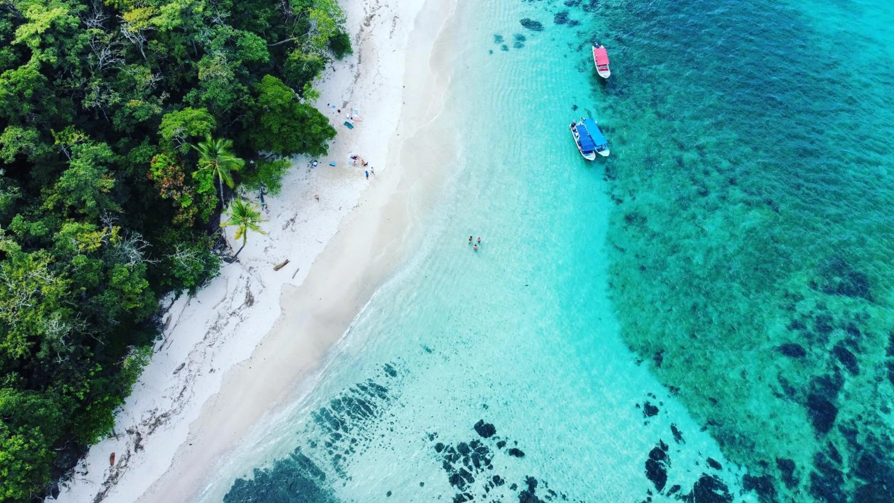 Diving in Catalina's Hideaway