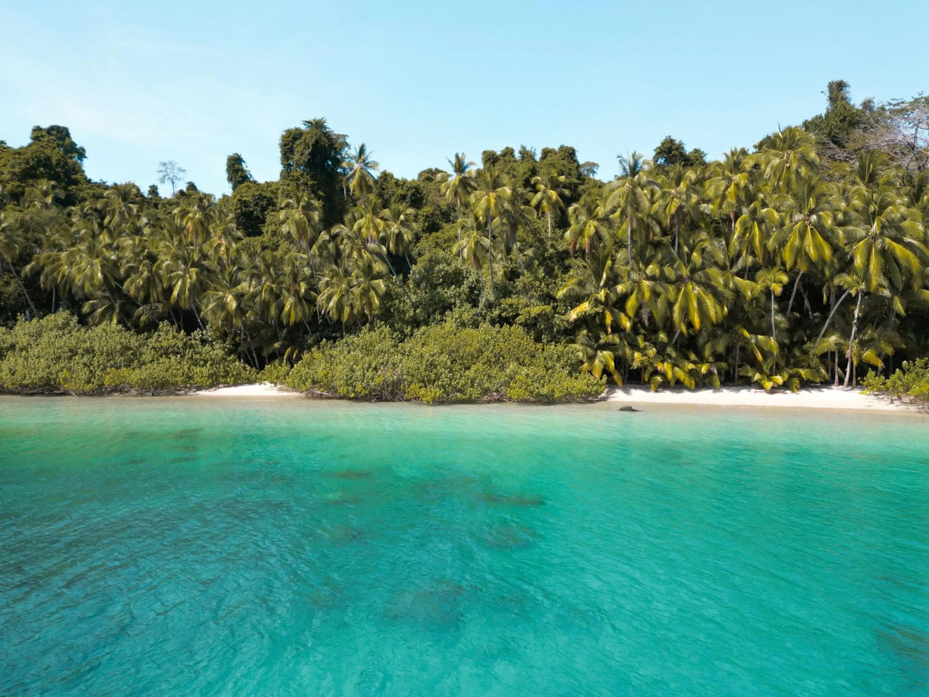 Natural landscape in Catalina's Hideaway