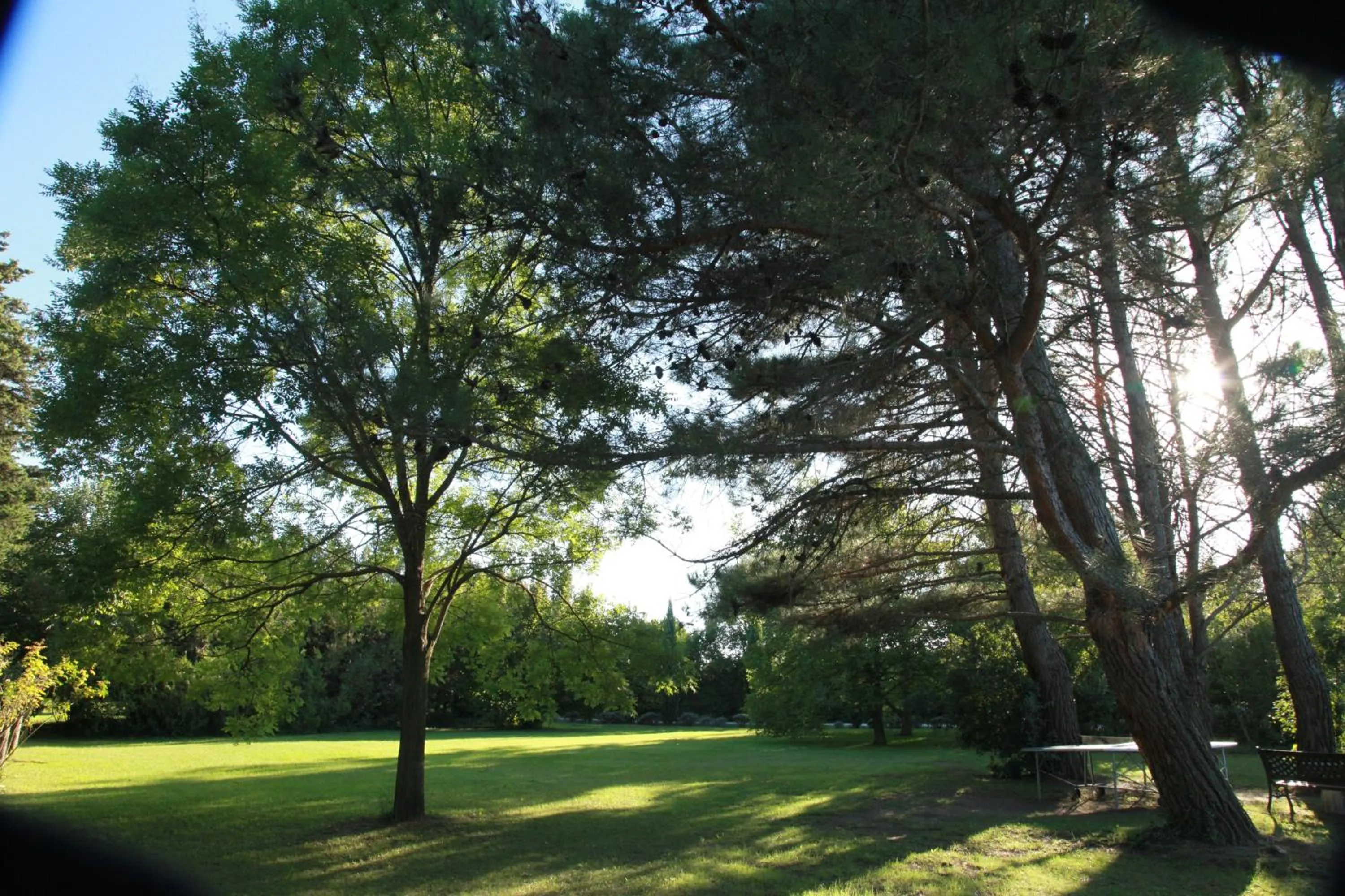 Garden in Mas la Provence