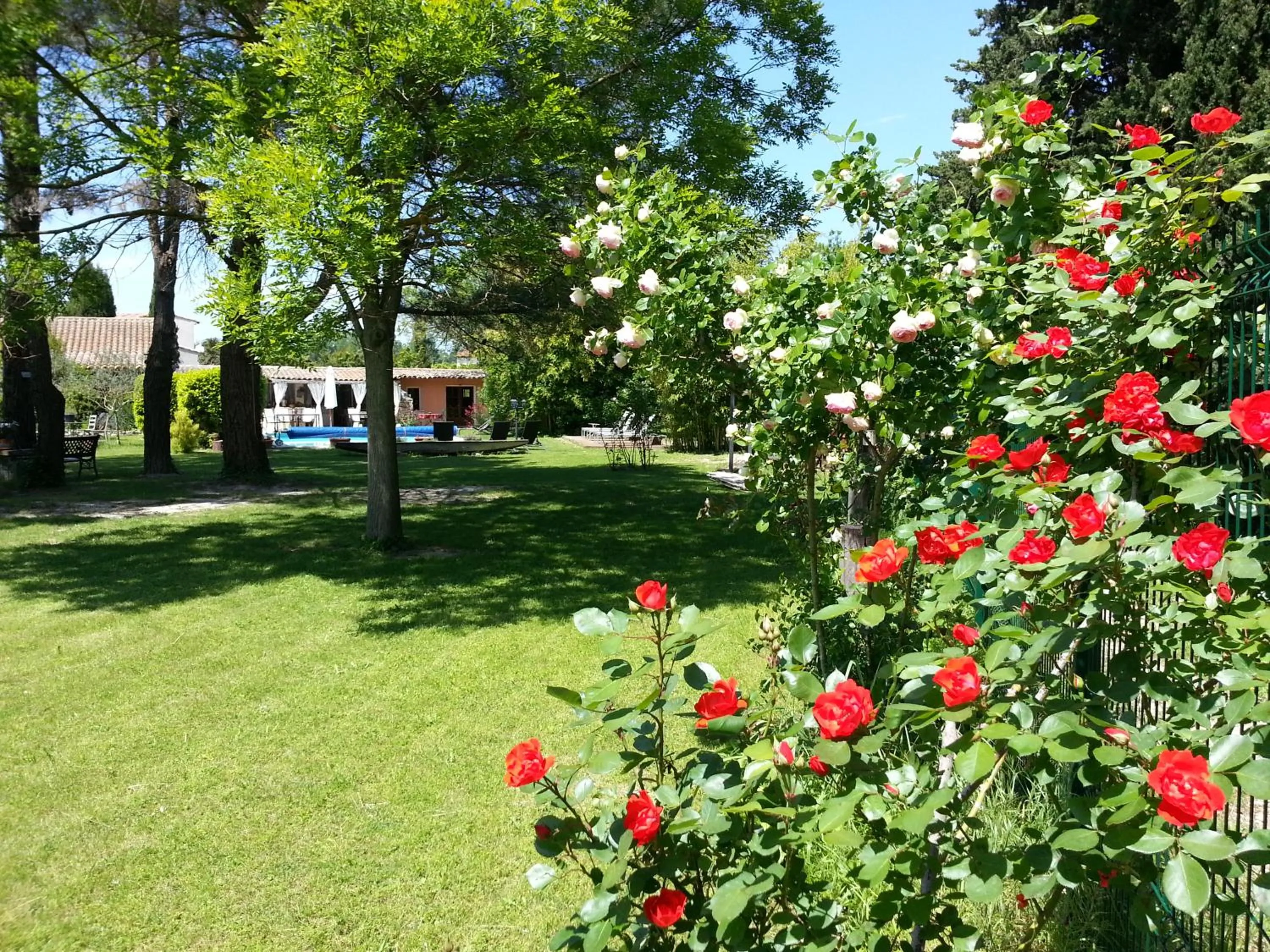 Garden in Mas la Provence