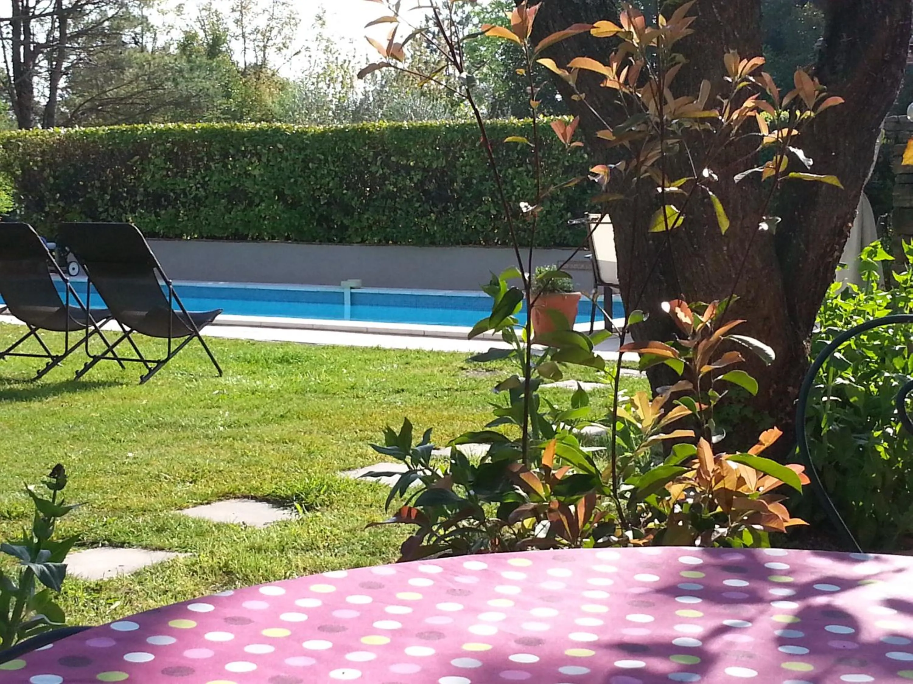 View (from property/room) in Mas la Provence