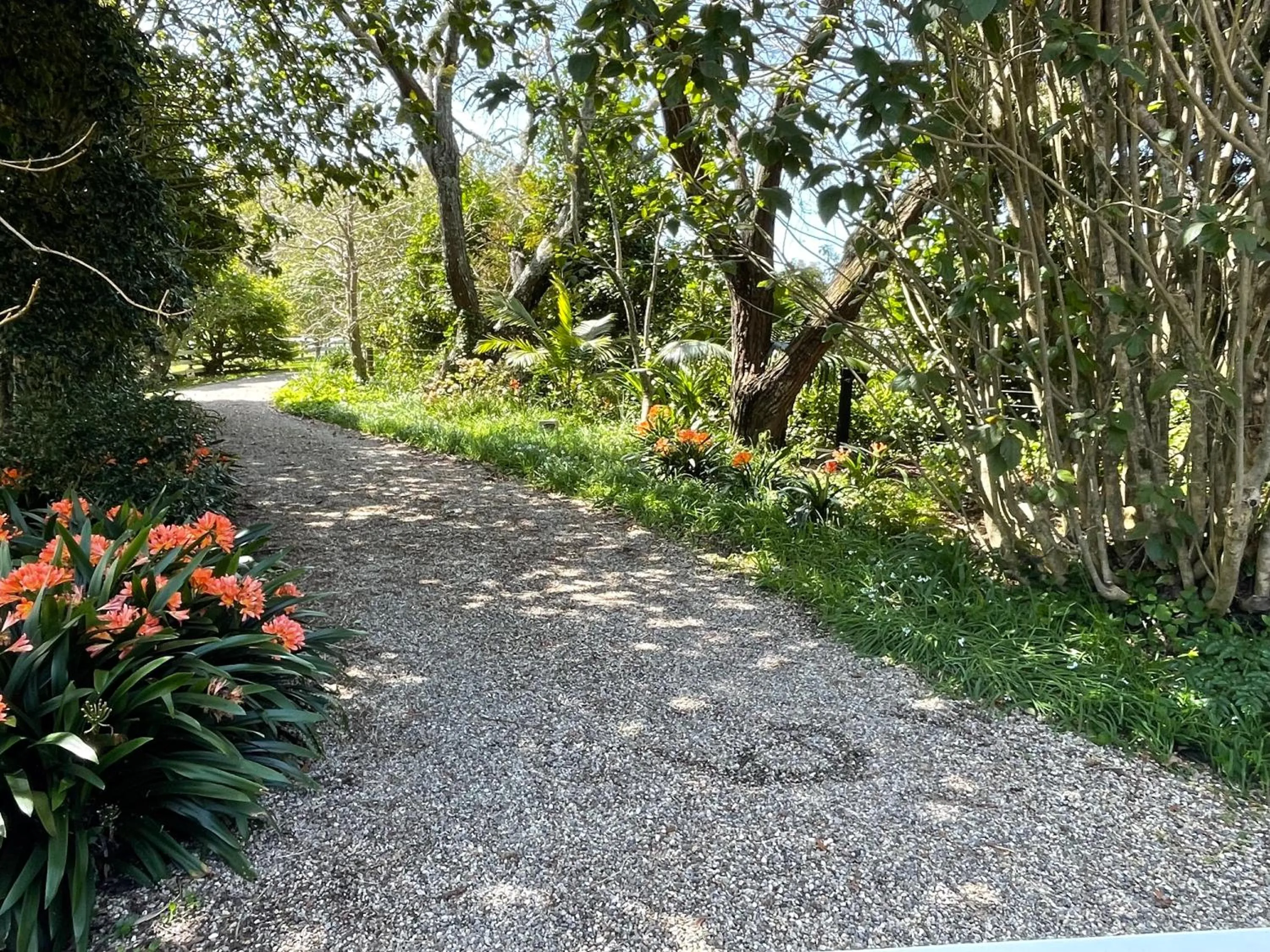 Pa Road B&B Kerikeri NZ