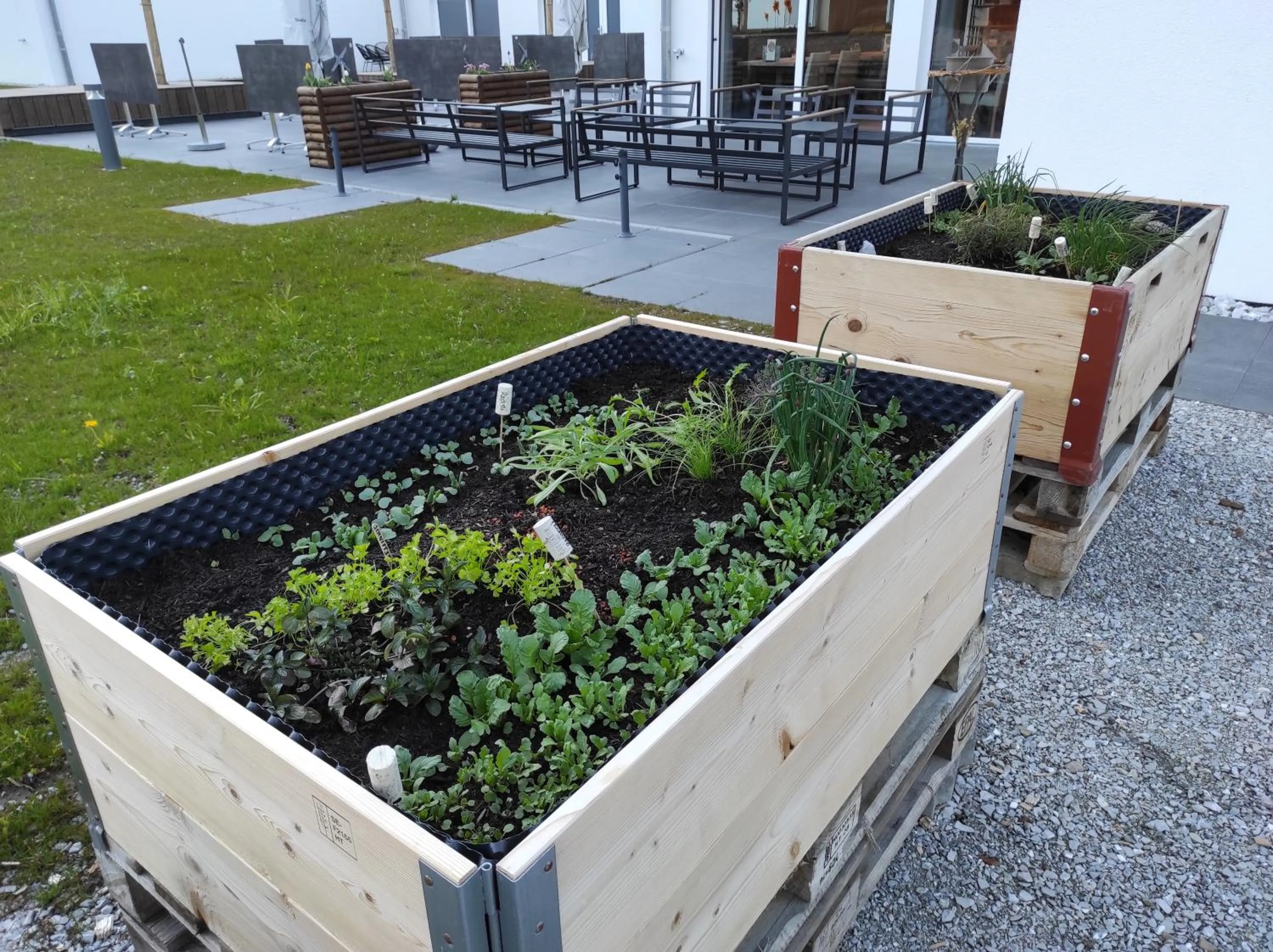 Spring in Pension fein & sein