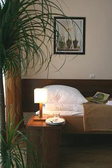 Sanatorium Stefan Sanatorium Stefan