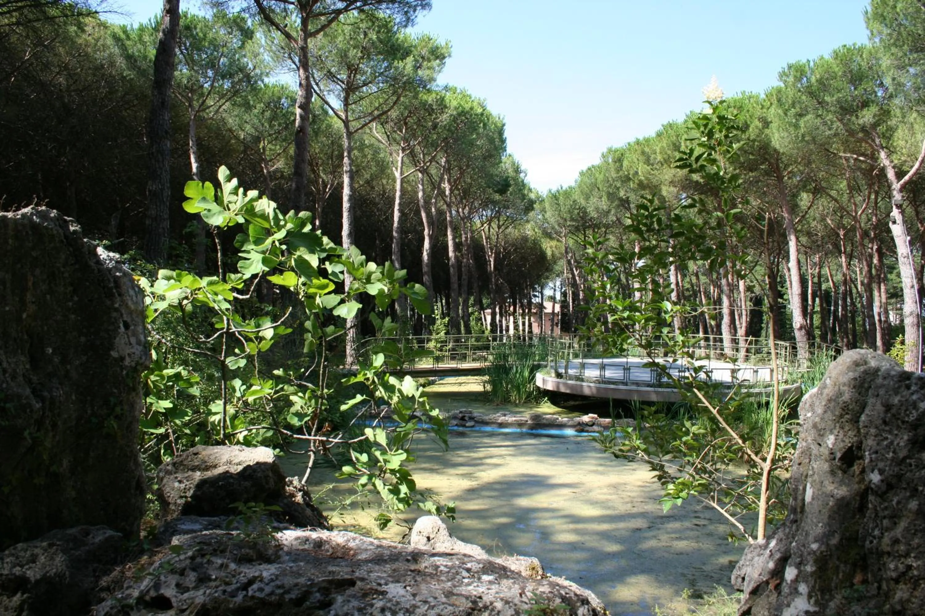 Garden view in Hotel Villa dei Pini