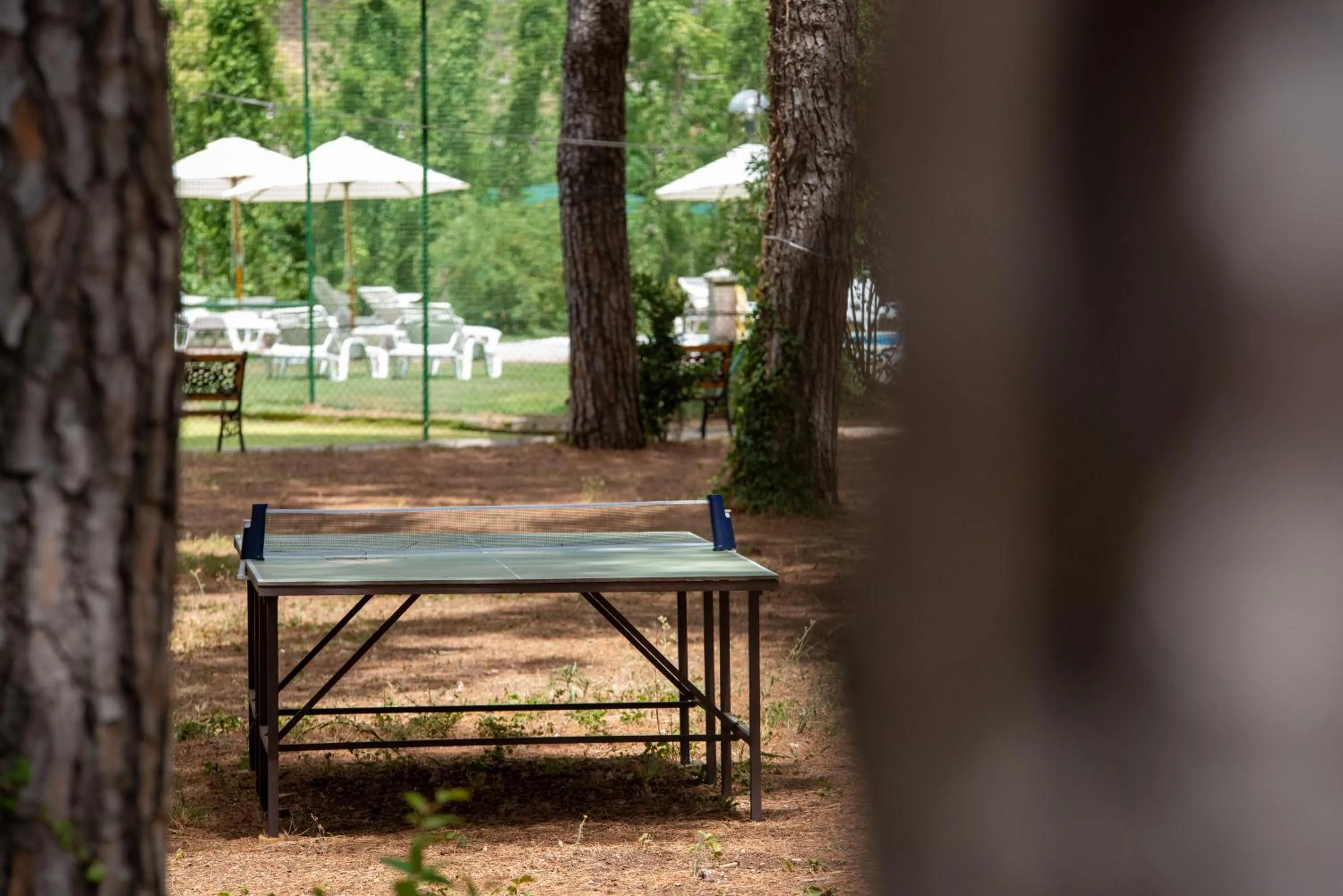 Table tennis in Hotel Villa dei Pini