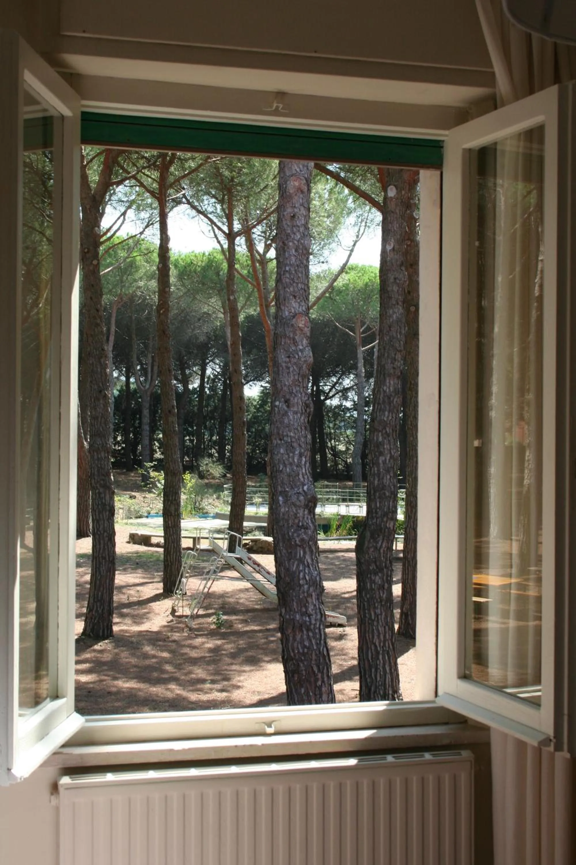 View (from property/room) in Hotel Villa dei Pini