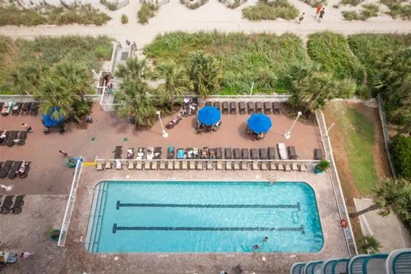 Swimming pool in A Piece of Paradise, Newly Renovated