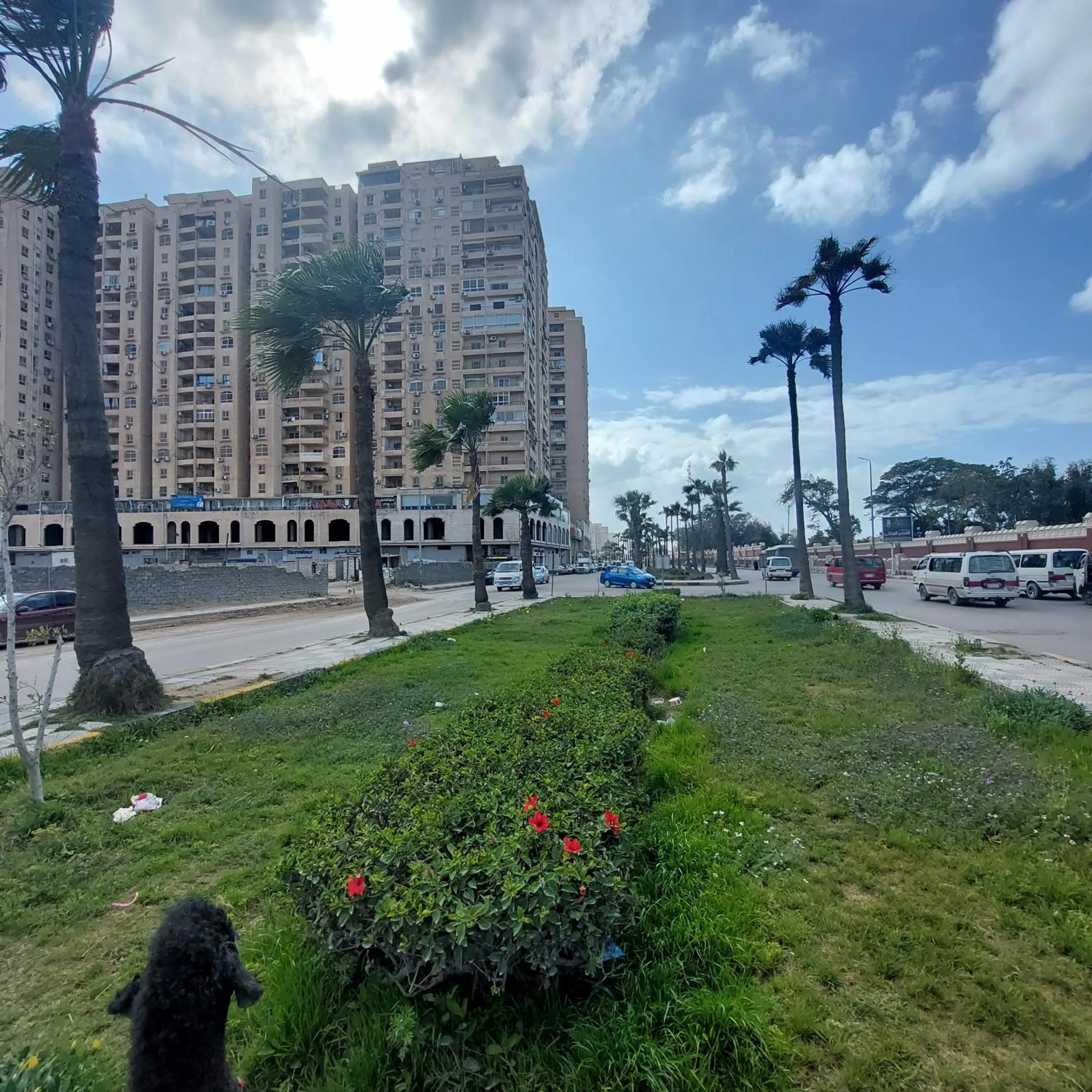 Flat in Royal Plaza Alexandria in front of El Montazah garden