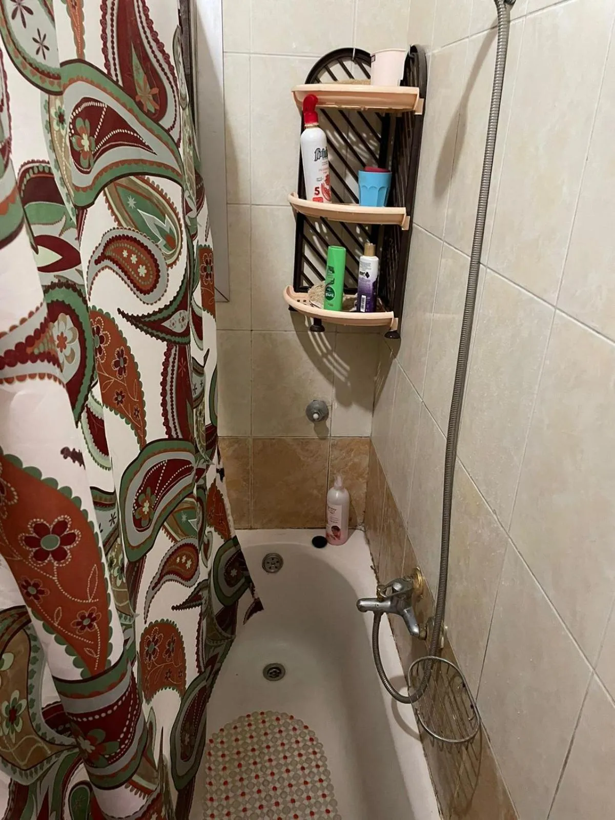Flat in Royal Plaza Alexandria in front of El Montazah garden