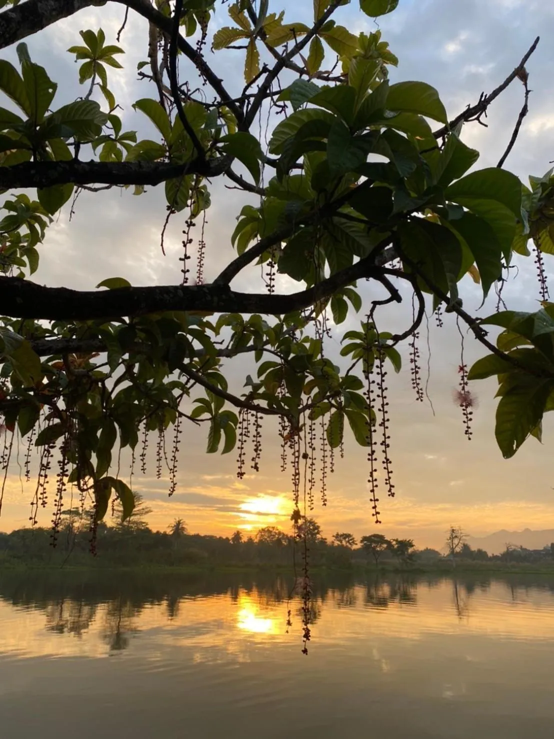 Natural landscape in Kasem Island Resort