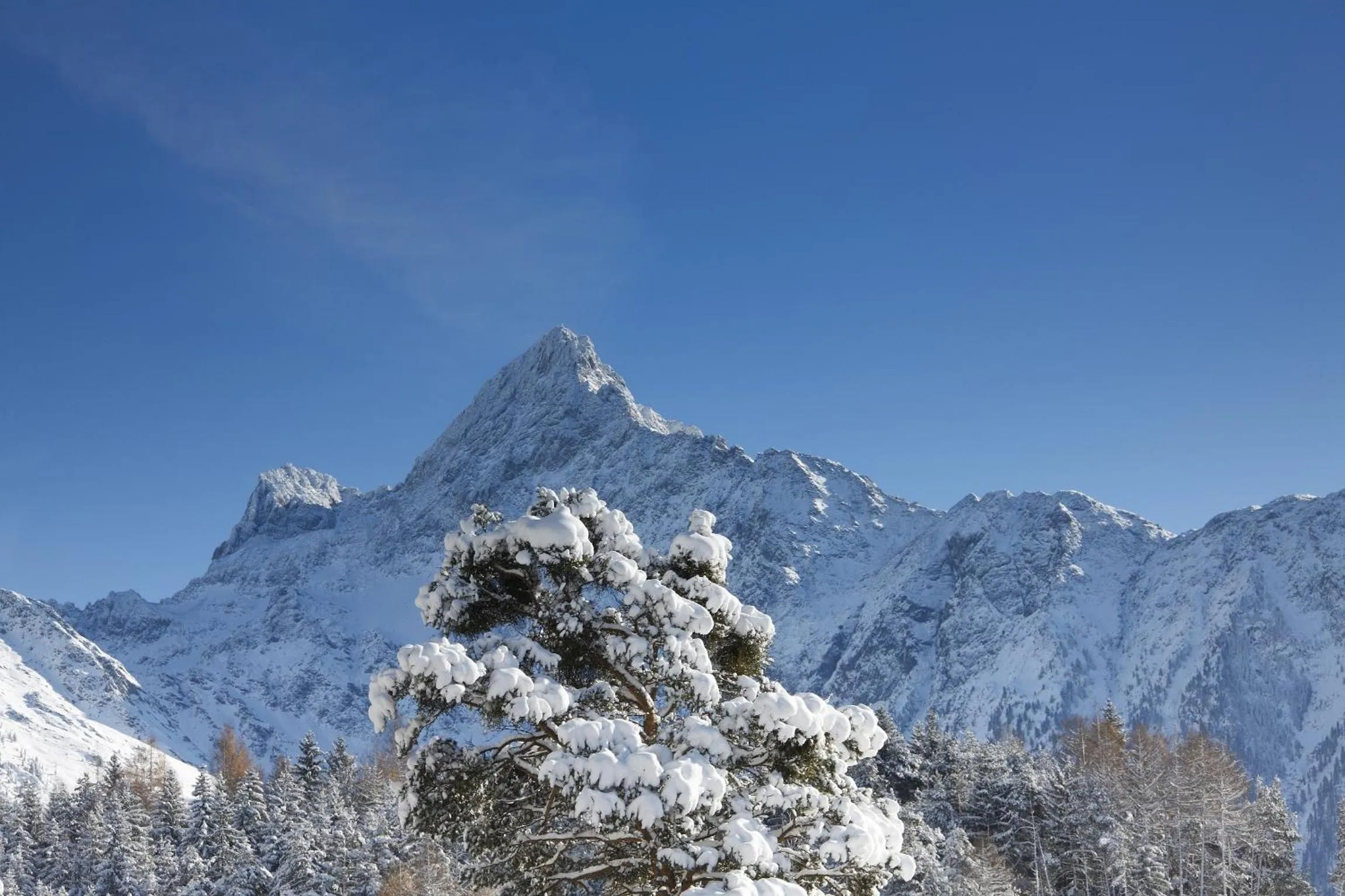 Activities in Boutiquehotel - Michl