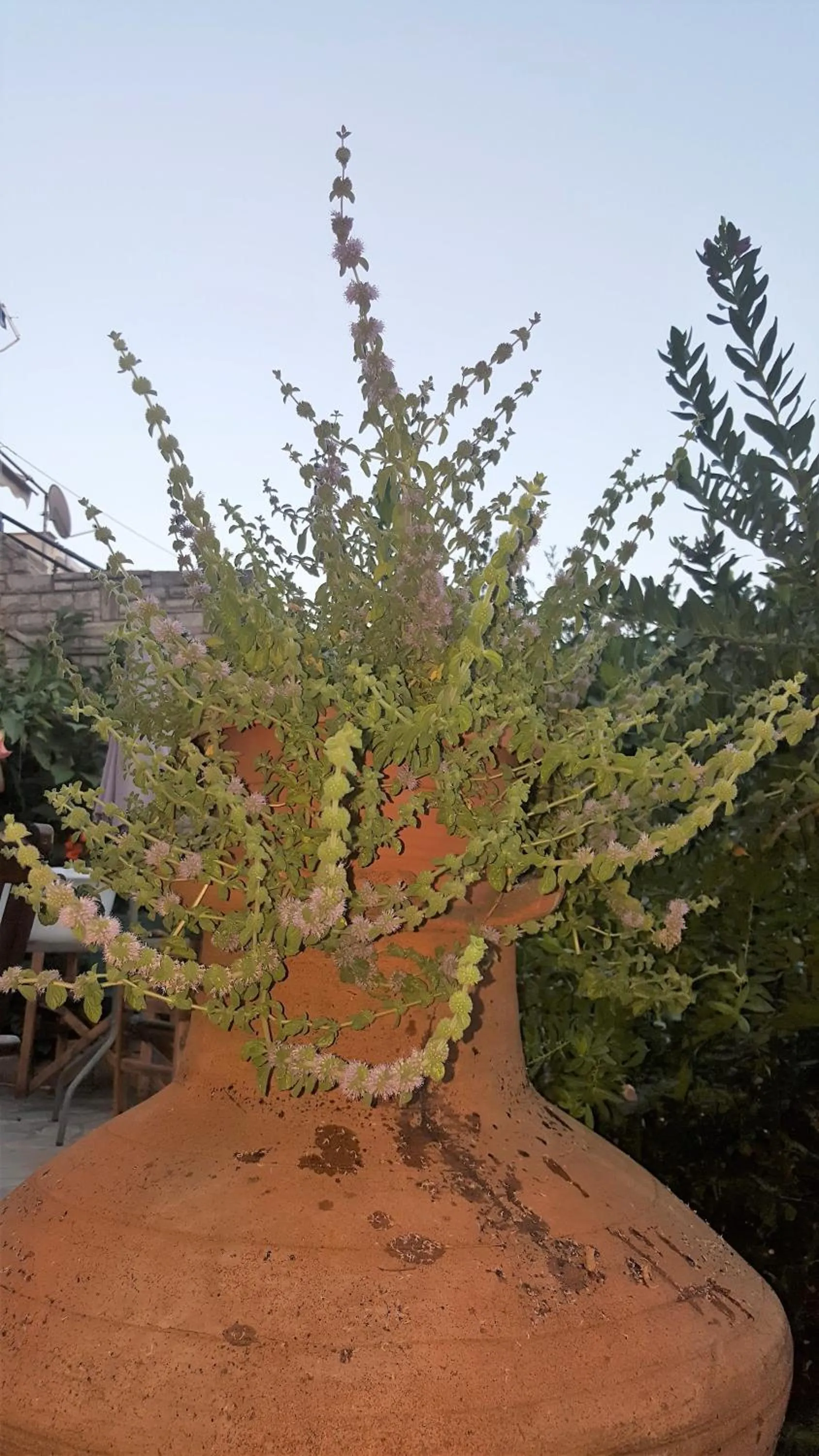 Decorative detail in Green Hill Studios & Apartments