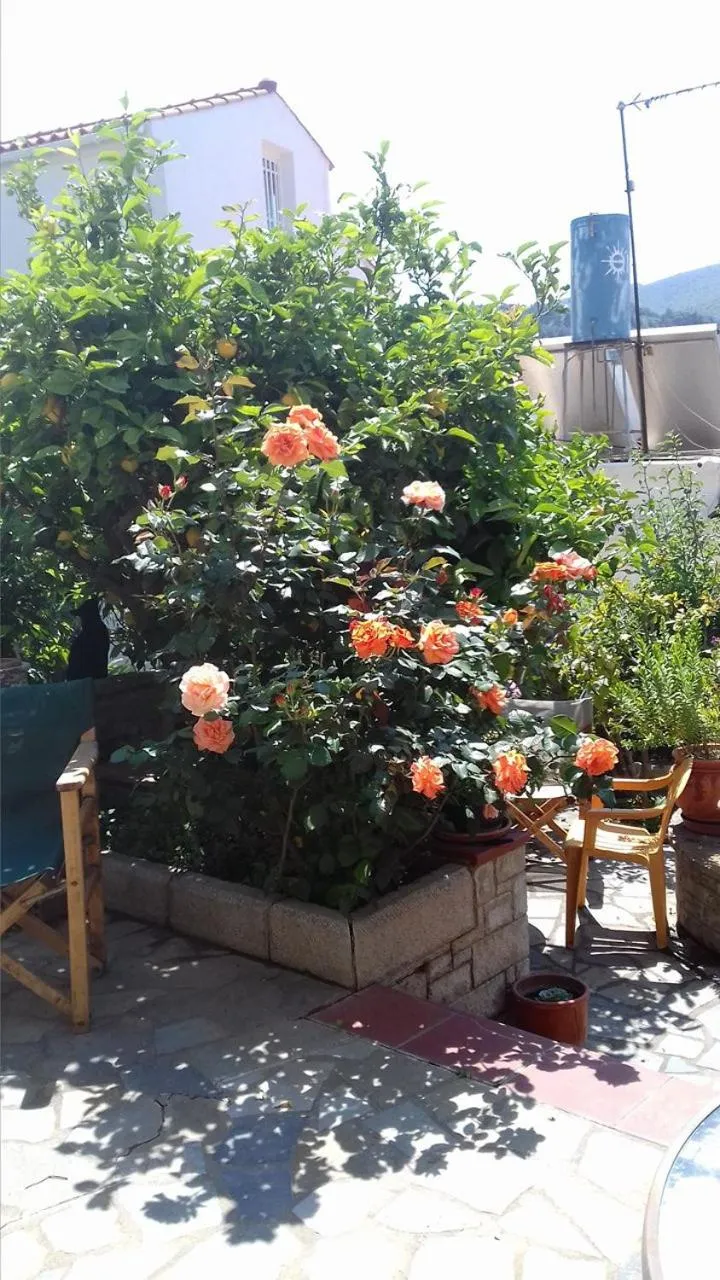 Green Hill Studios & Apartments