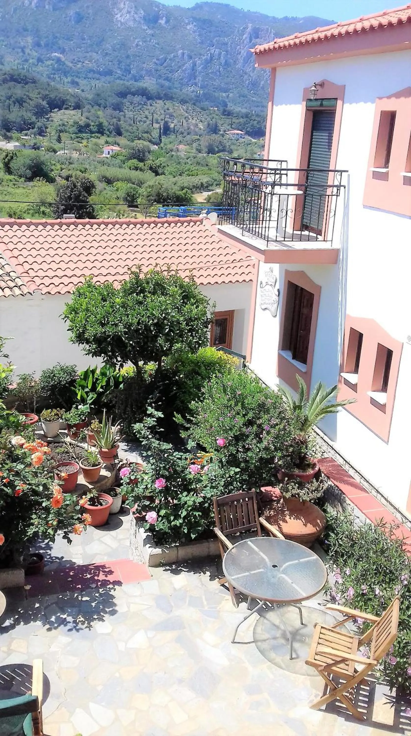 Garden view in Green Hill Studios & Apartments