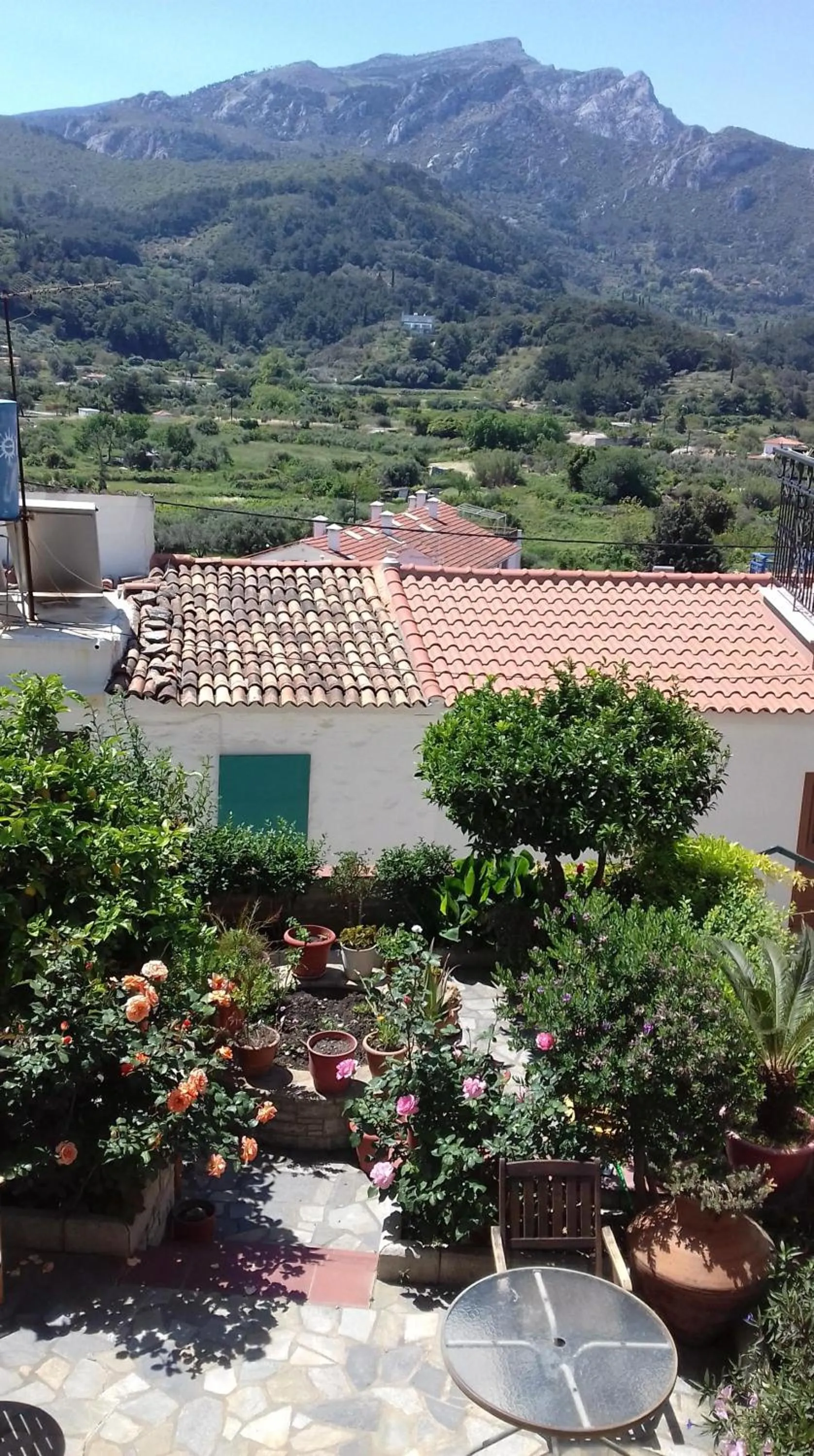 Green Hill Studios & Apartments