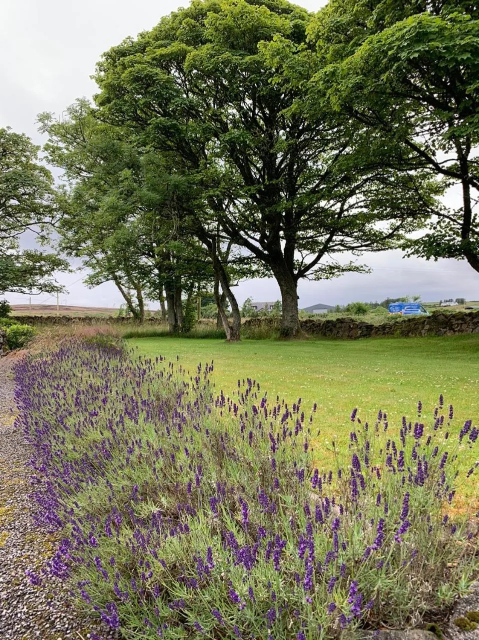 Garden in Crawfield Grange