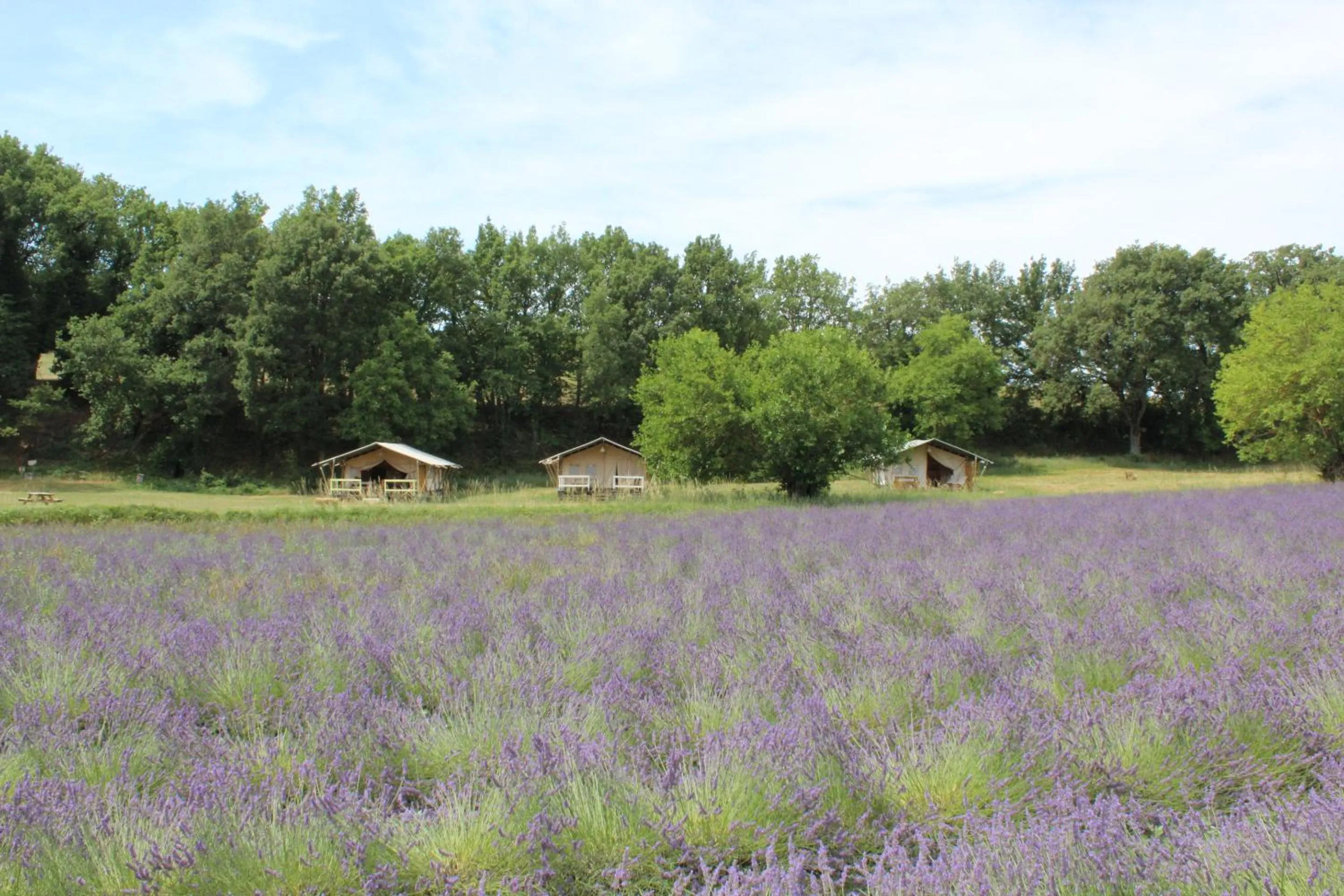 Property building in Les Ânes de Forcalquier