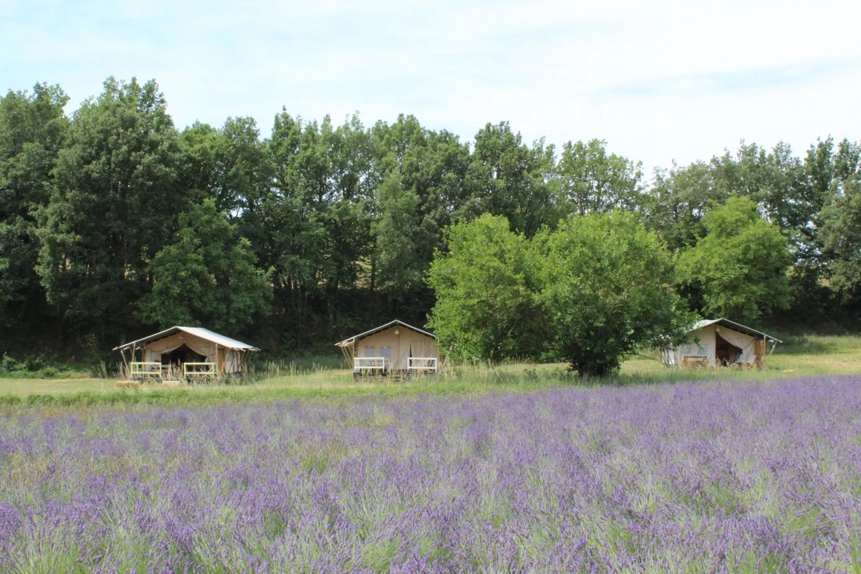 Property building in Les Ânes de Forcalquier