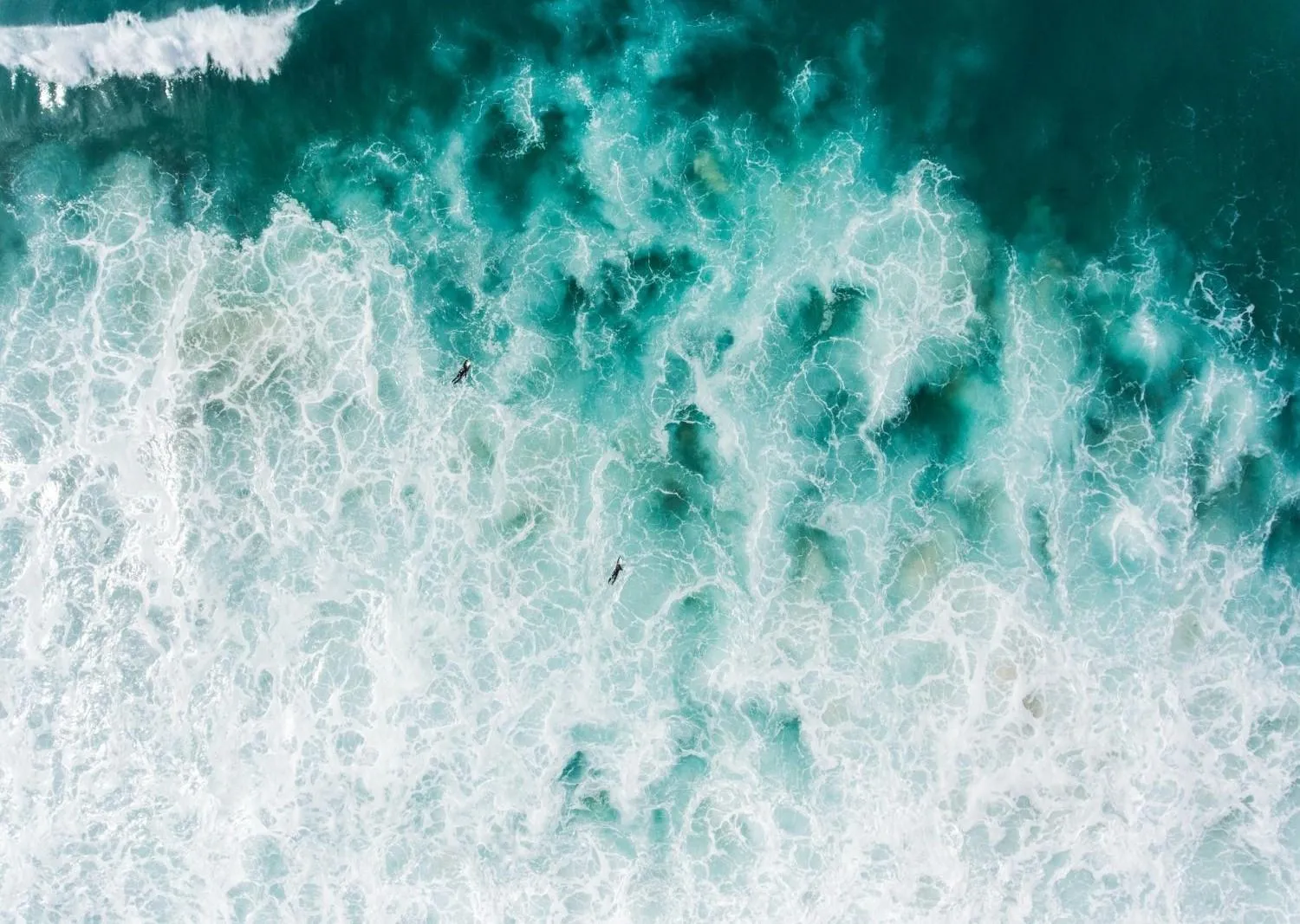 Beach in The Blue Hotel Bondi